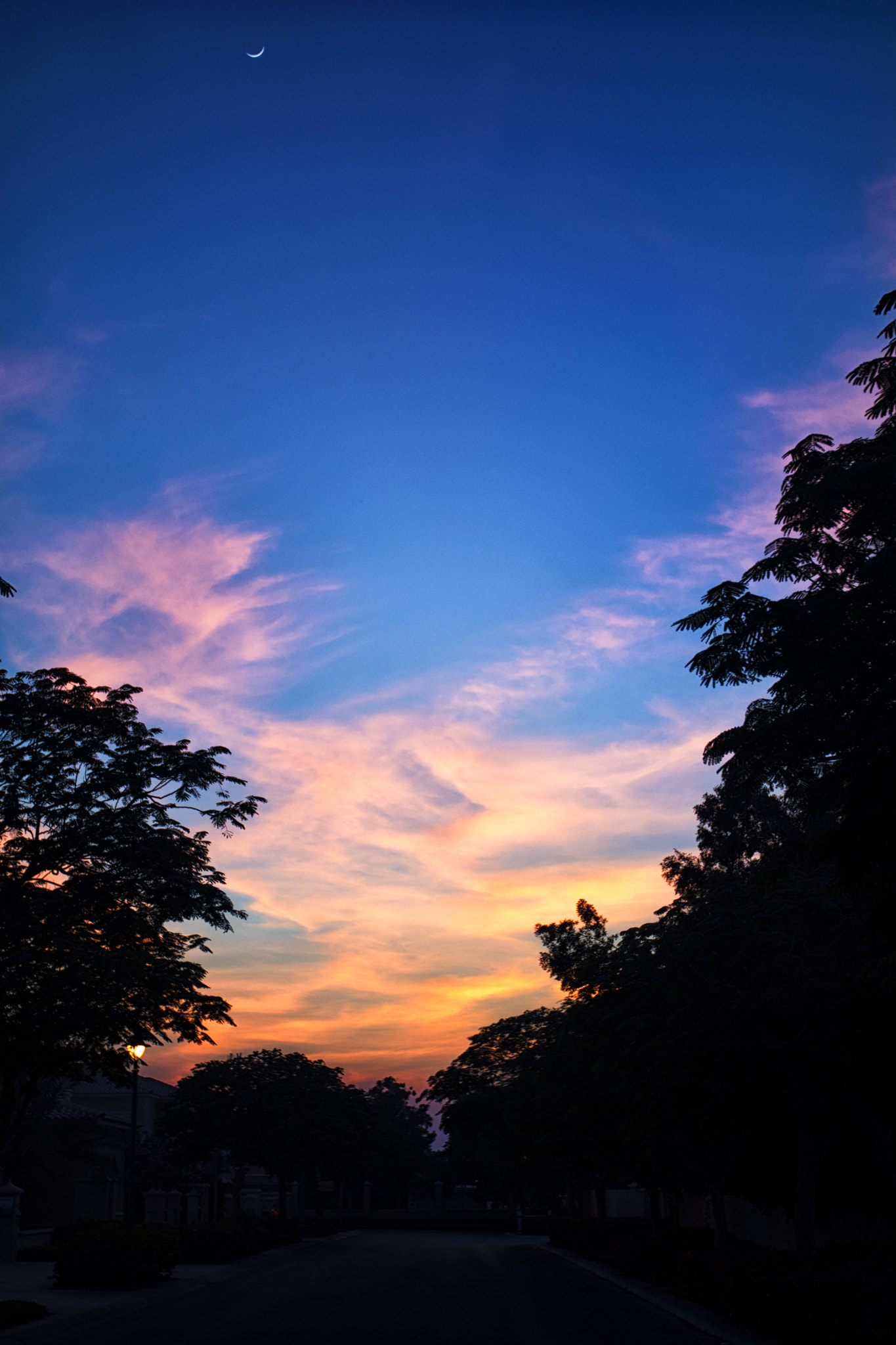 Canon EF 16-35mm F2.8L II USM sample photo. Sunset on the first day of 2017 photography