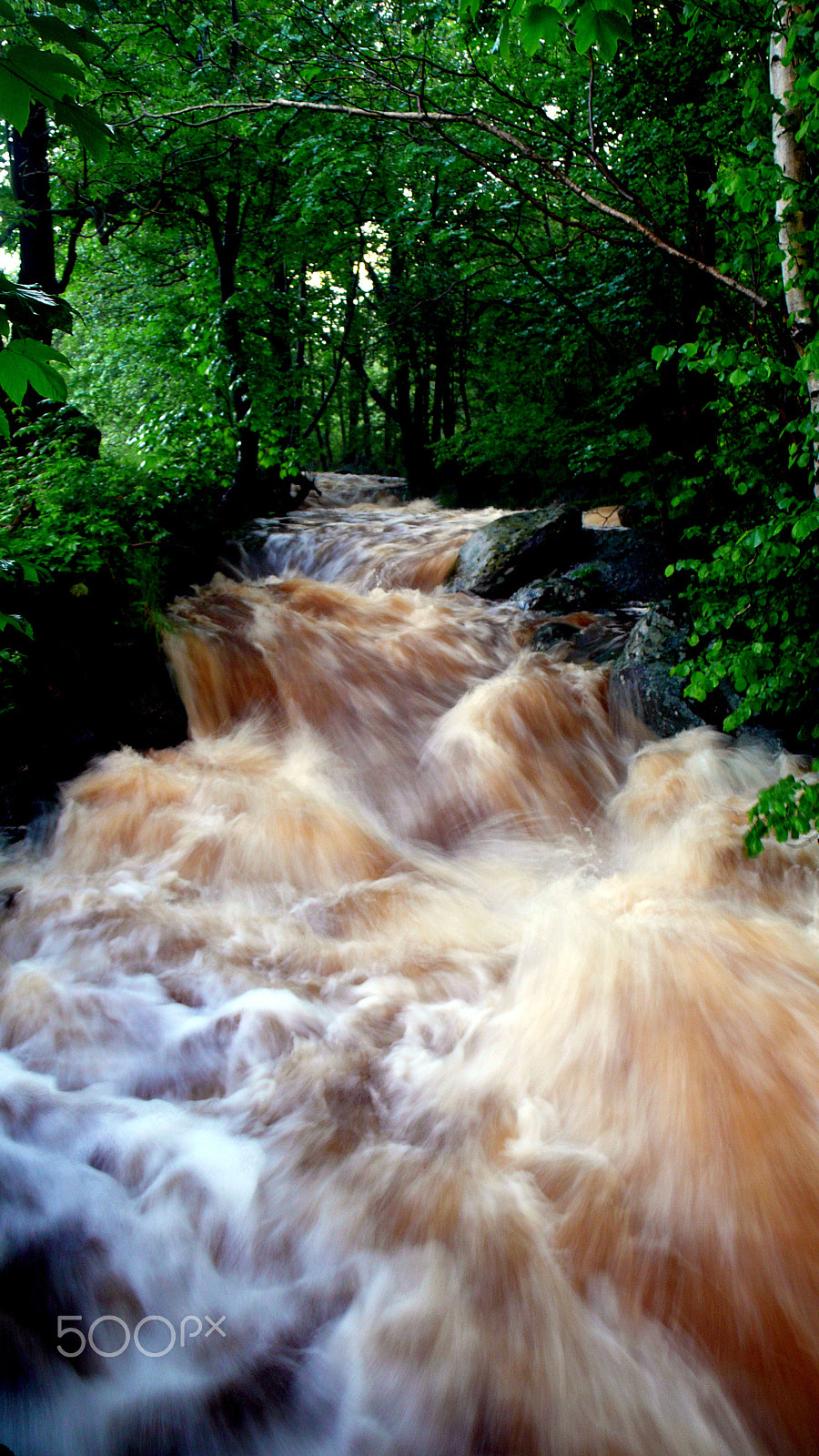 Panasonic DMC-LX2 sample photo. After the storm (kamienica) photography