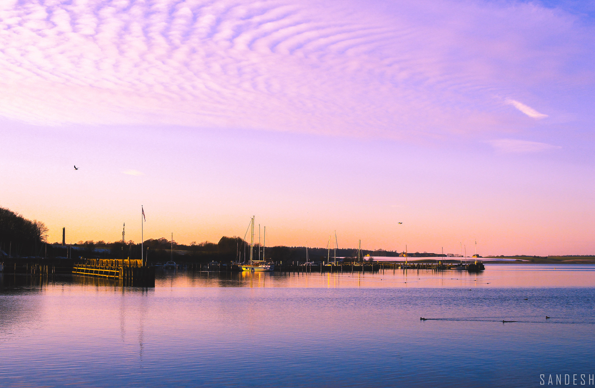 Sigma 30mm F1.4 EX DC HSM sample photo. Purple harbour photography