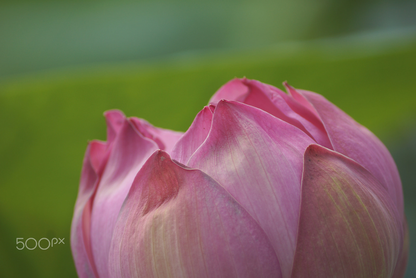 Sony DT 55-200mm F4-5.6 SAM sample photo. Far east of russia photography