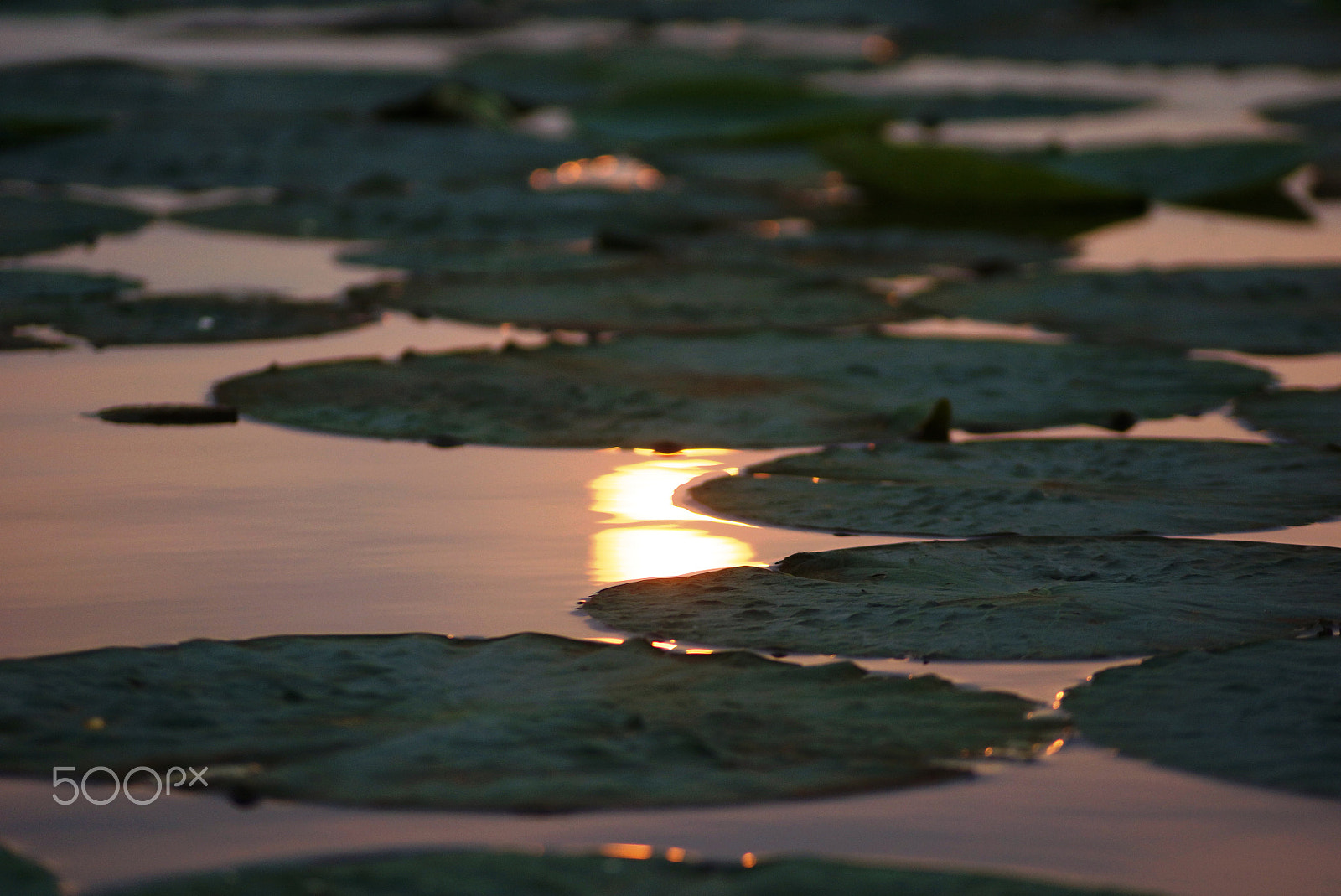 Sony DT 55-200mm F4-5.6 SAM sample photo. Far east of russia photography
