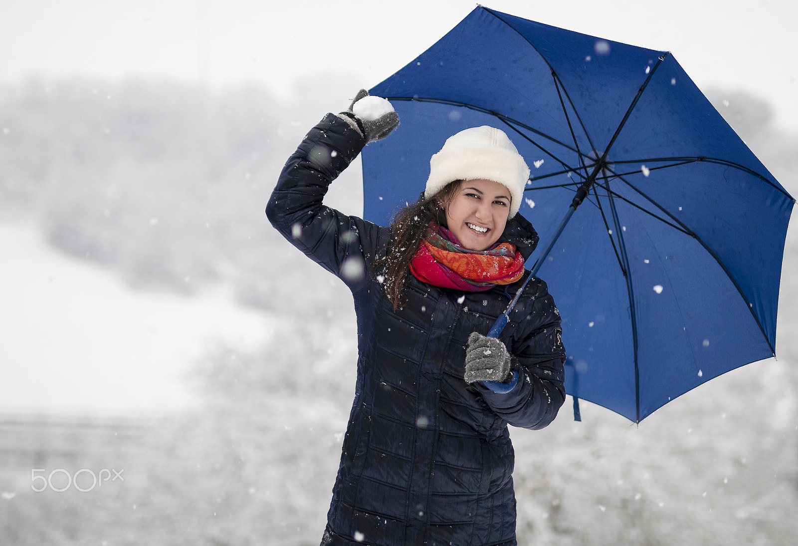 Sigma 50mm F1.4 EX DG HSM sample photo. Snowball photography
