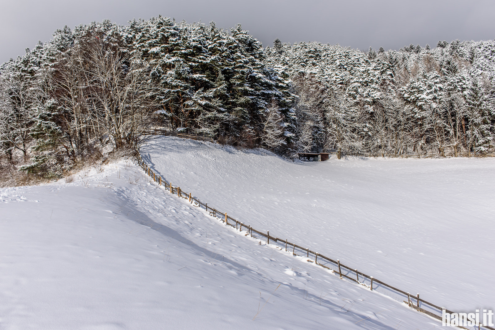 Nikon D750 + Nikon AF-S Nikkor 28-70mm F2.8 ED-IF sample photo. Snow-landscape photography