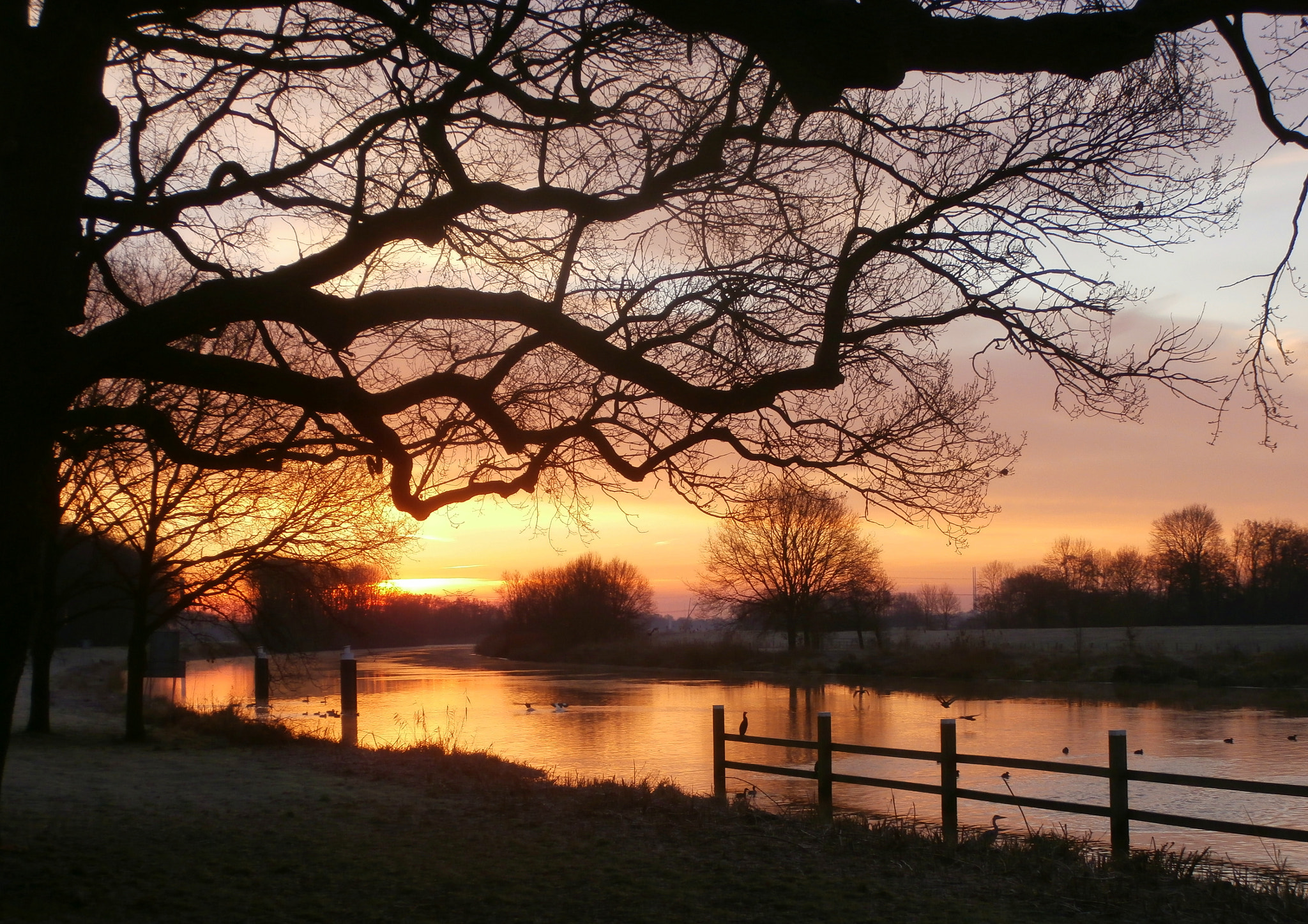 Olympus VR340,D750 sample photo. There's the sun on a cold januari morning photography