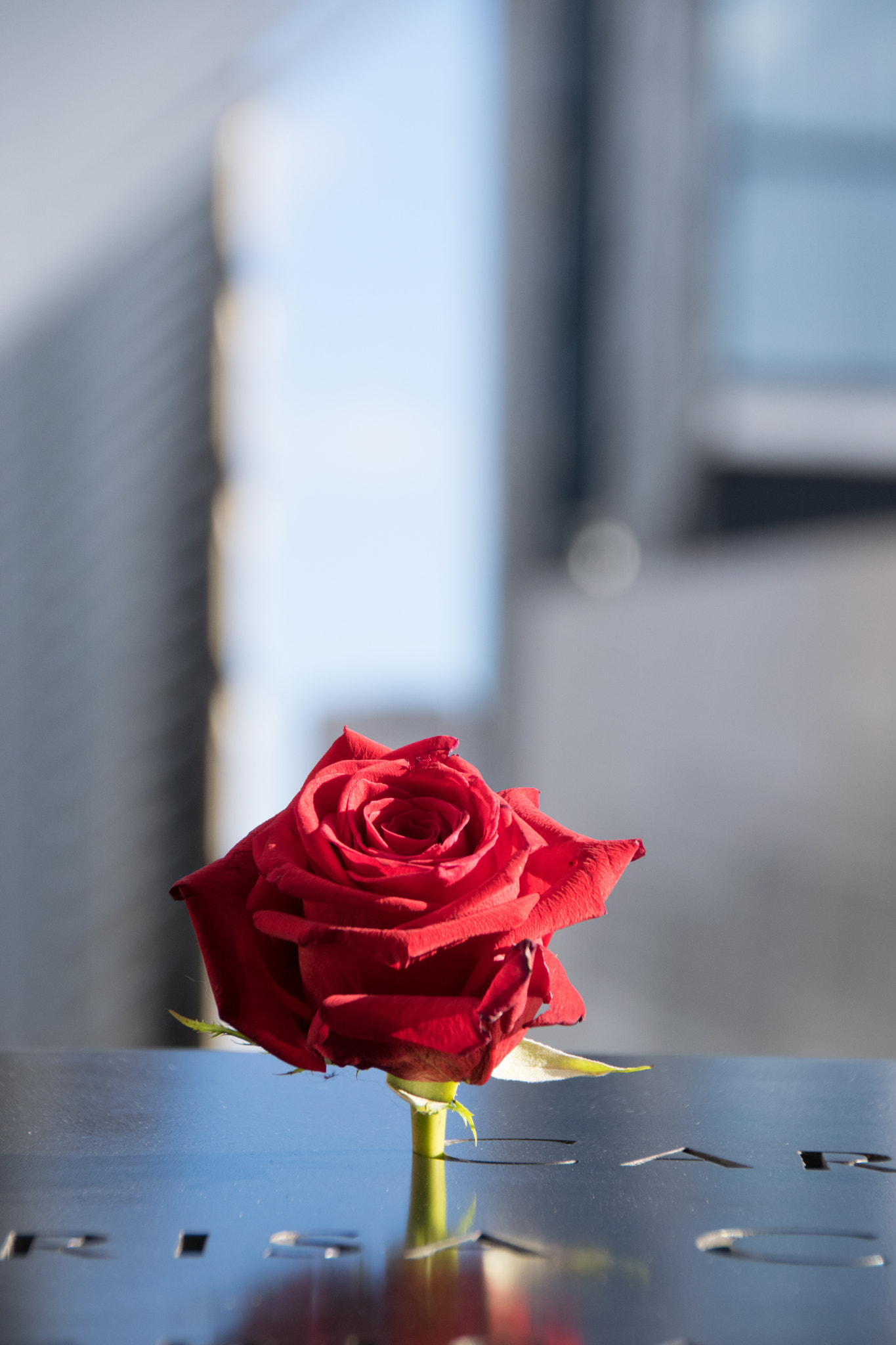 Sigma 18-200mm F3.5-6.3 II DC OS HSM sample photo. In memory of 9/11 photography
