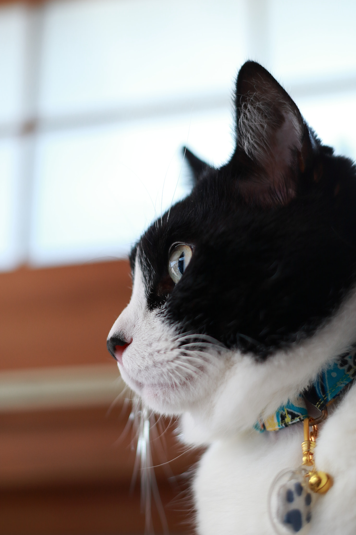 Canon EOS-1D Mark III sample photo. What seeing photography