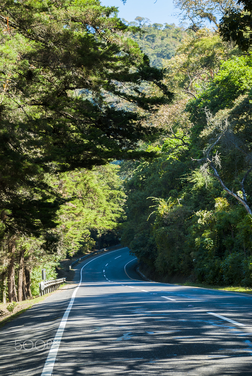Nikon D200 sample photo. Asphalt road in guatemala and forest photography
