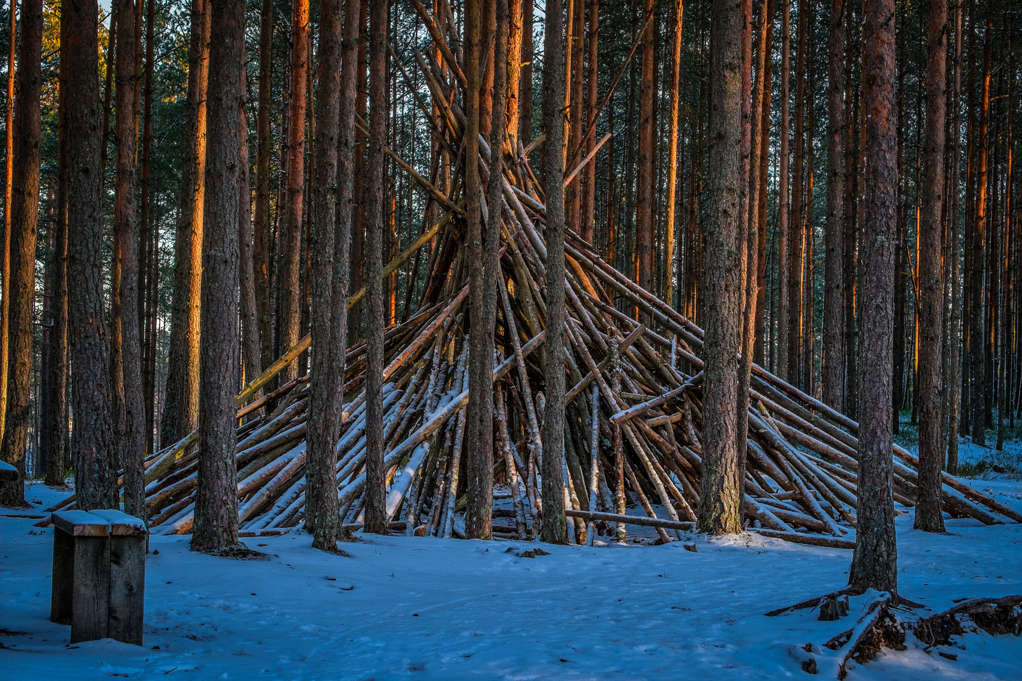 Fujifilm X-E1 + Fujifilm XF 55-200mm F3.5-4.8 R LM OIS sample photo. Forest photography
