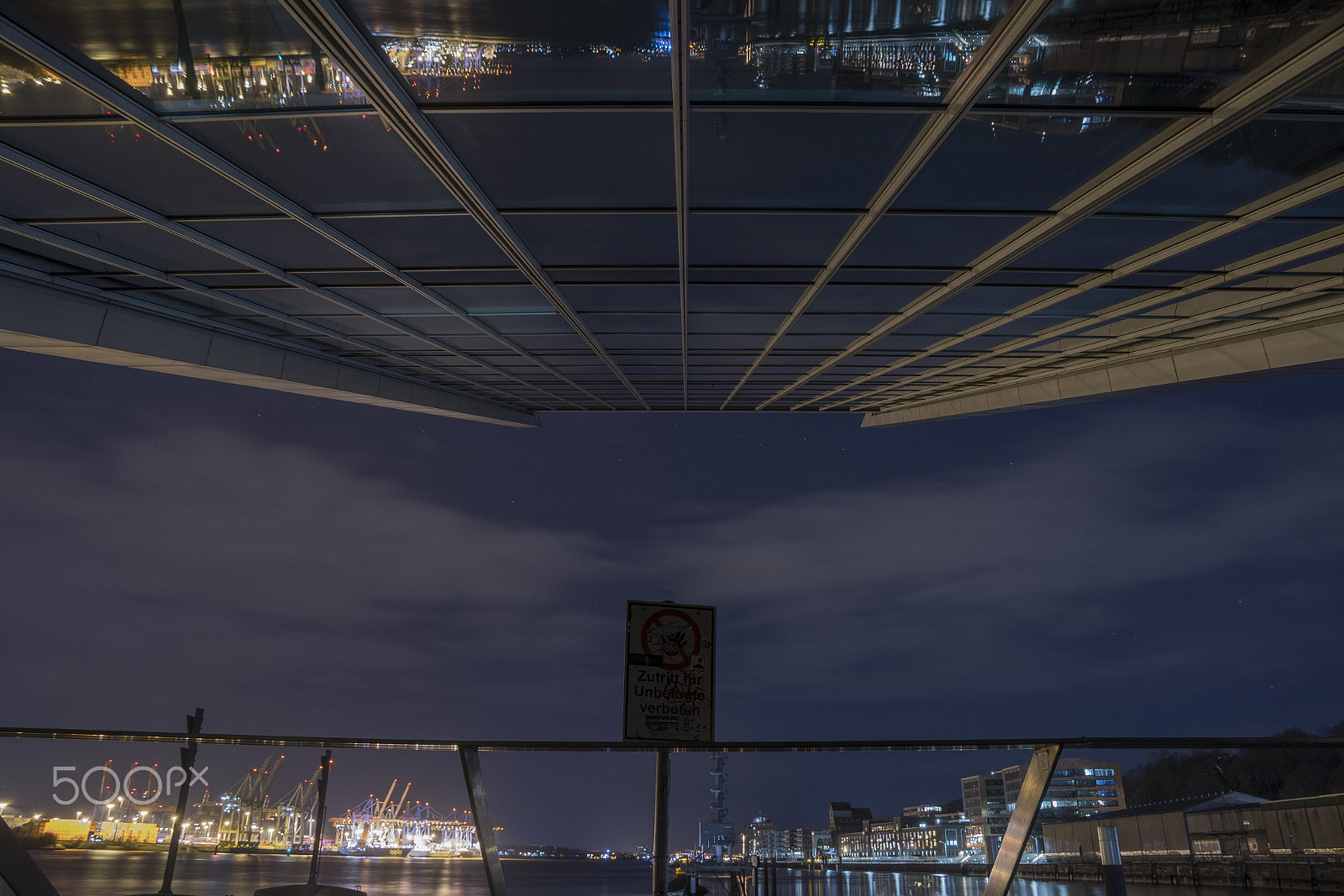 Nikon D500 sample photo. To the sky photography