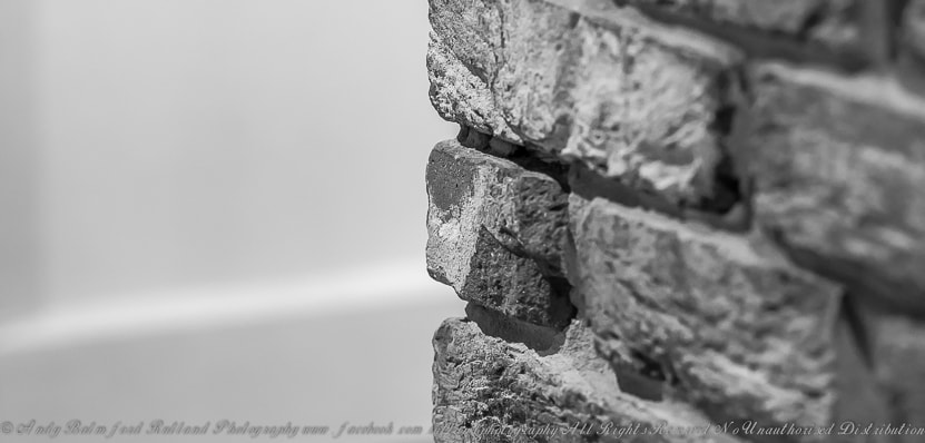 Canon EOS-1D Mark III sample photo. All in all, it just another... photography