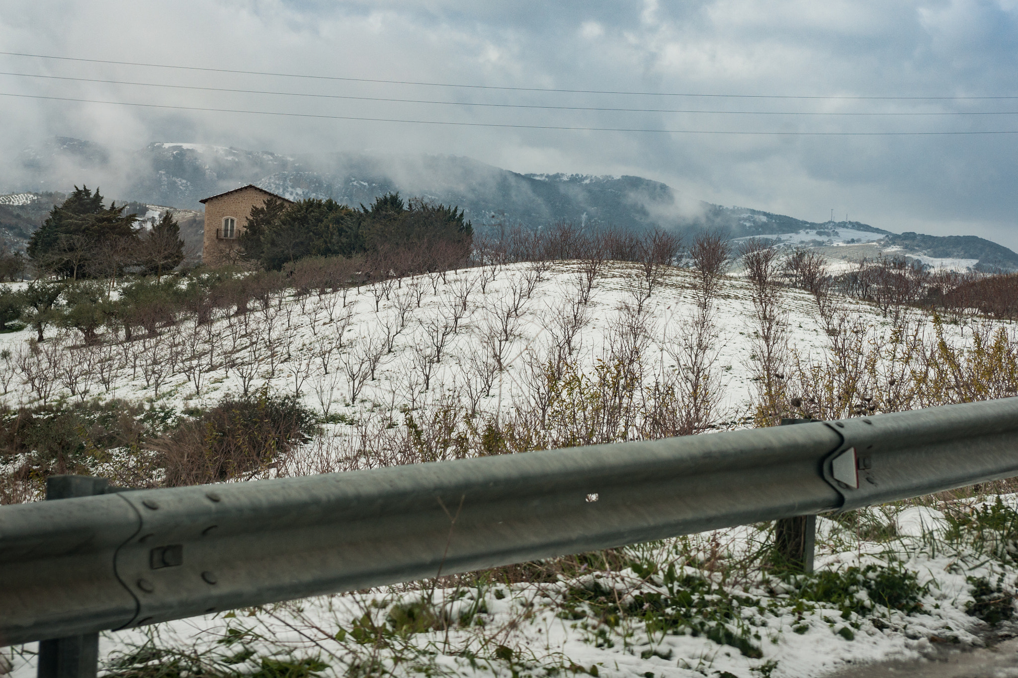 Sony Alpha DSLR-A700 + Minolta AF 28-85mm F3.5-4.5 sample photo. Snow trees photography