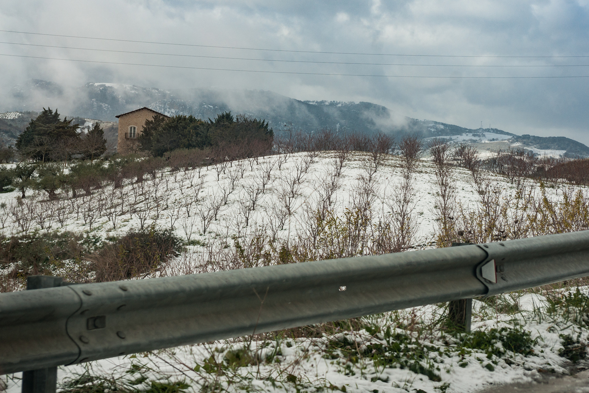 Minolta AF 28-85mm F3.5-4.5 sample photo. Snow trees photography