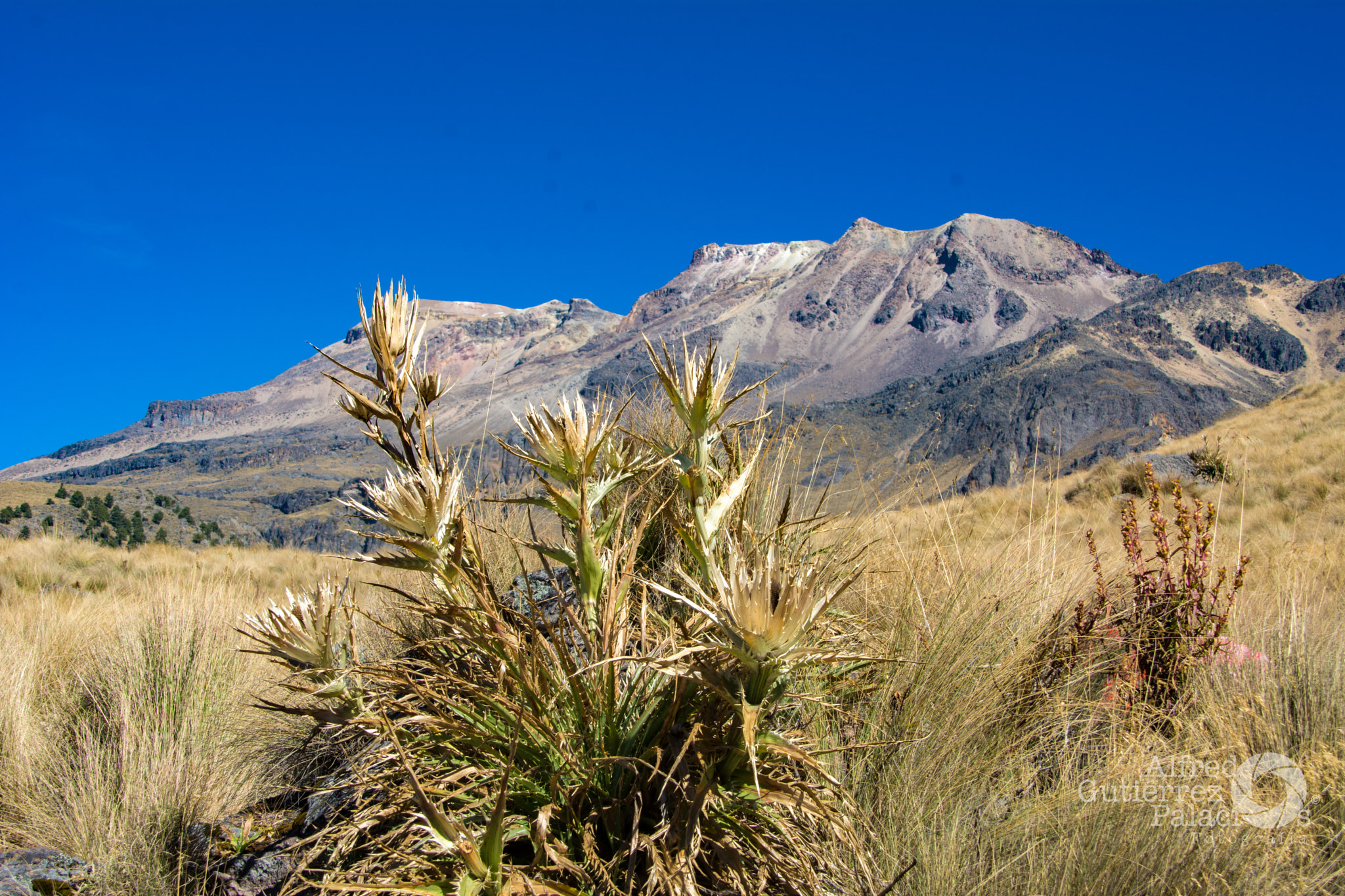 Sigma 18-200mm F3.5-6.3 DC OS HSM sample photo. Iztaccihuatl photography