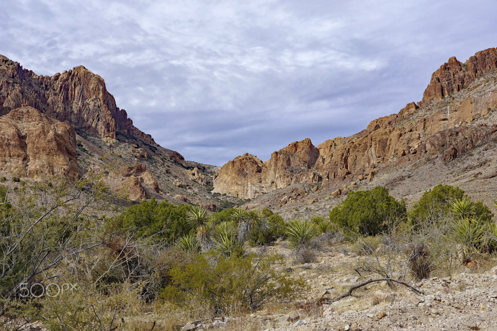 Sony SLT-A65 (SLT-A65V) + Sony DT 35mm F1.8 SAM sample photo. Arizona mountains photography