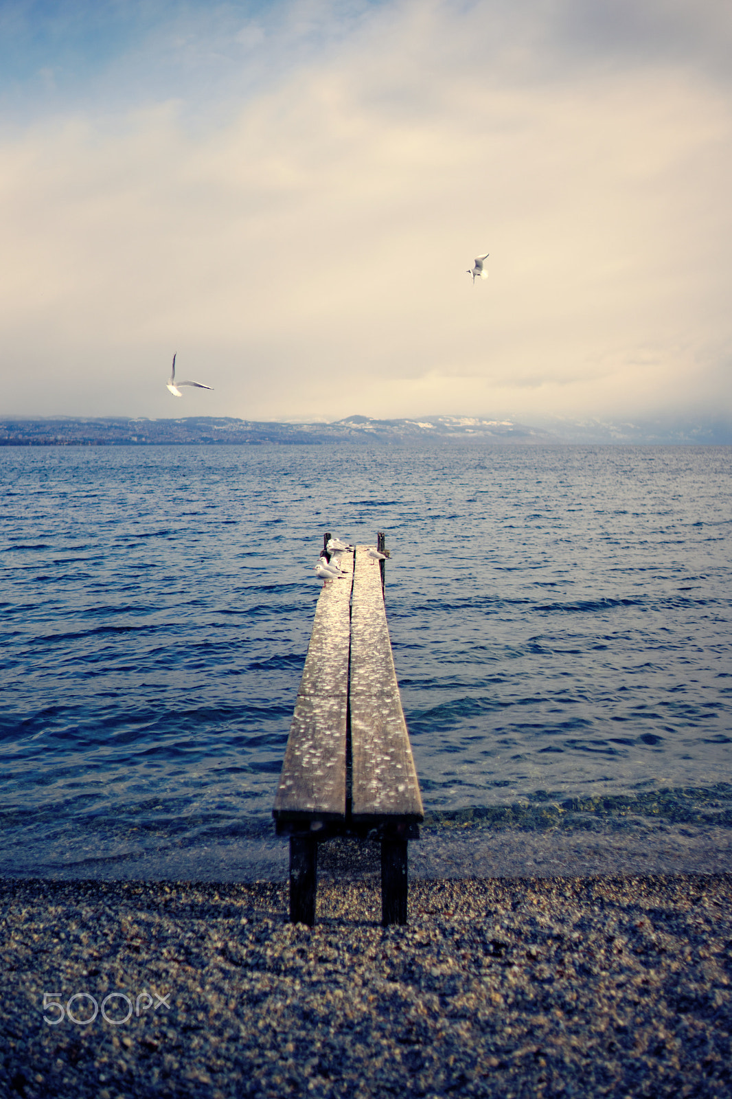 Sony a99 II + Sony 35mm F1.4 G sample photo. Lac léman, saint-prex, 05-01-2017 (#2, color) photography