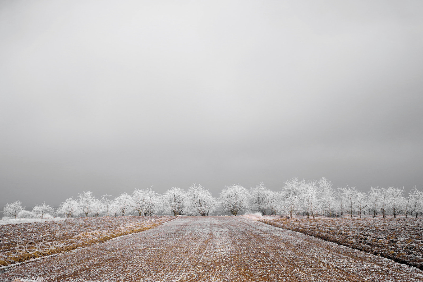 Pentax K-1 sample photo. Winterstimmung photography