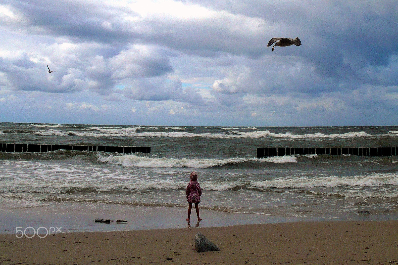 Panasonic DMC-LX2 sample photo. Ludwika & the sea photography