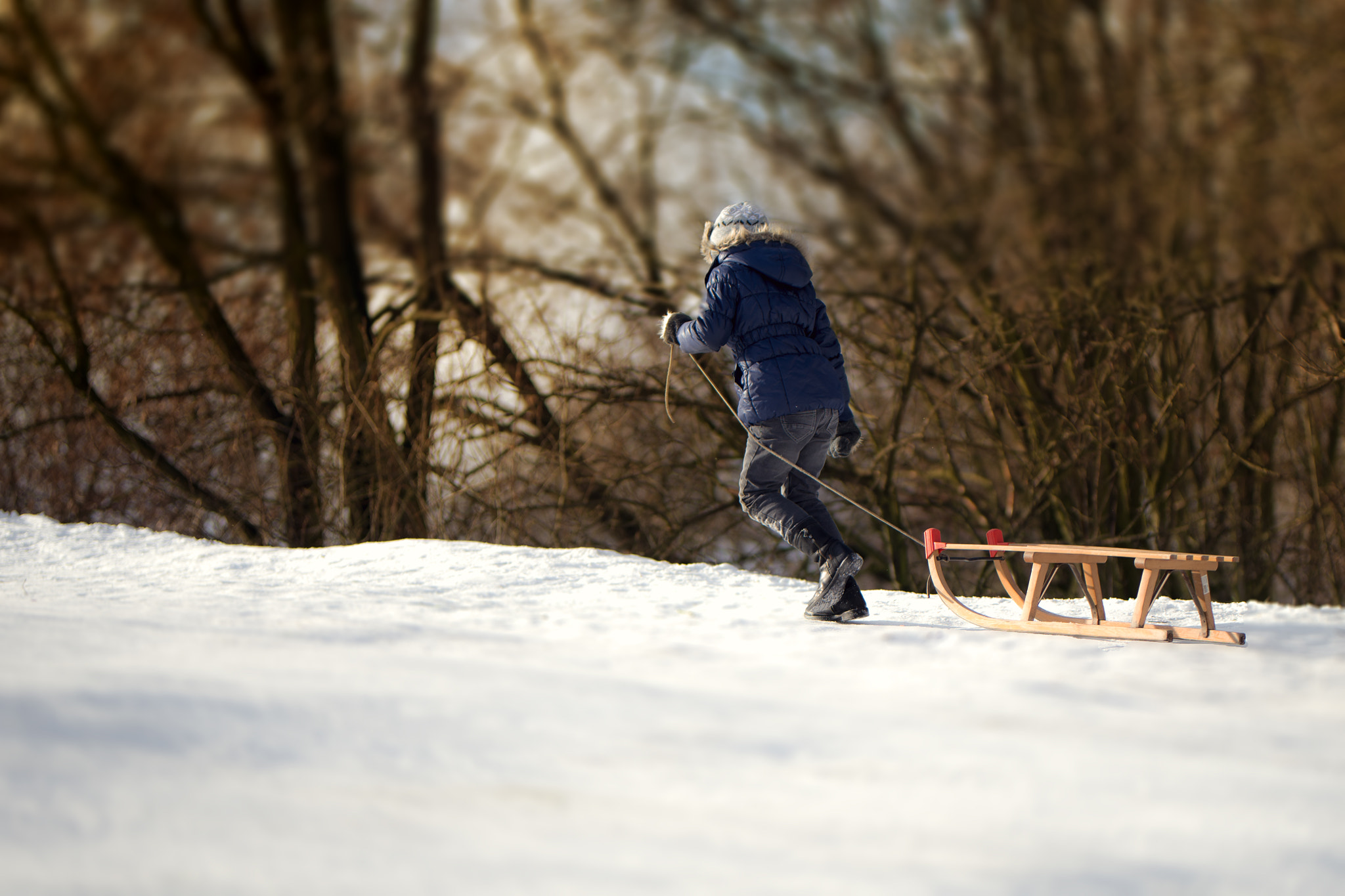 Sigma 105mm F2.8 EX DG Macro sample photo. Snow photography
