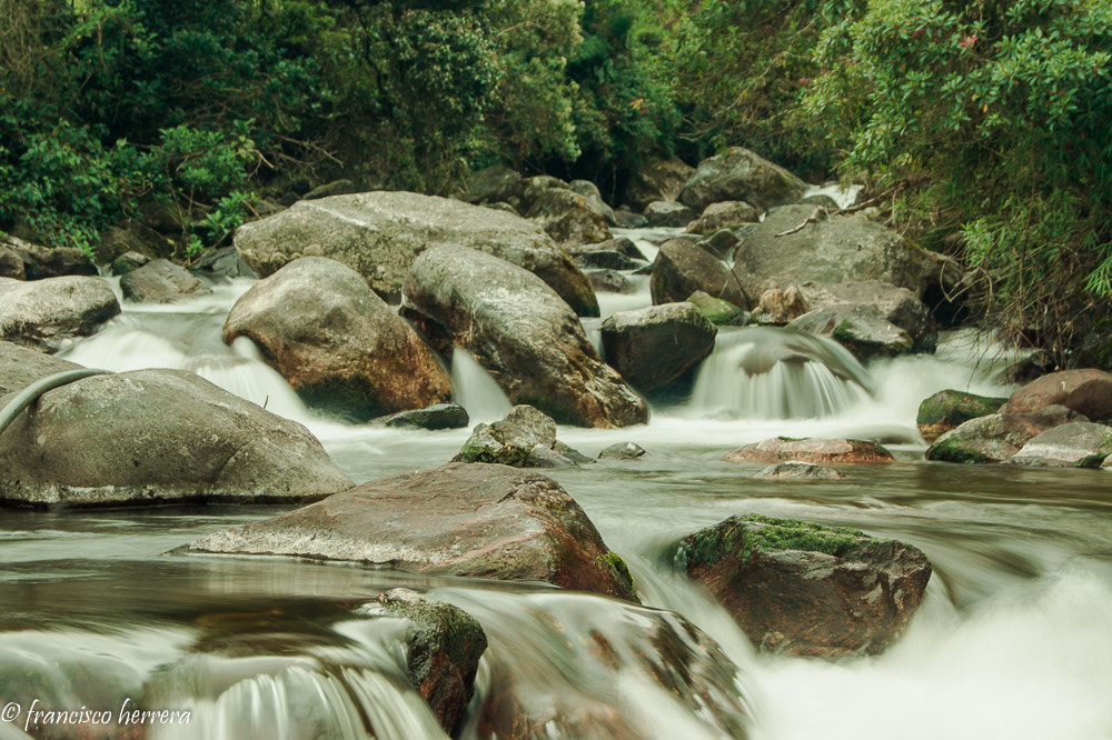 Sony SLT-A33 + Sony DT 18-55mm F3.5-5.6 SAM sample photo. Río santo domingo #merida #venezuela photography