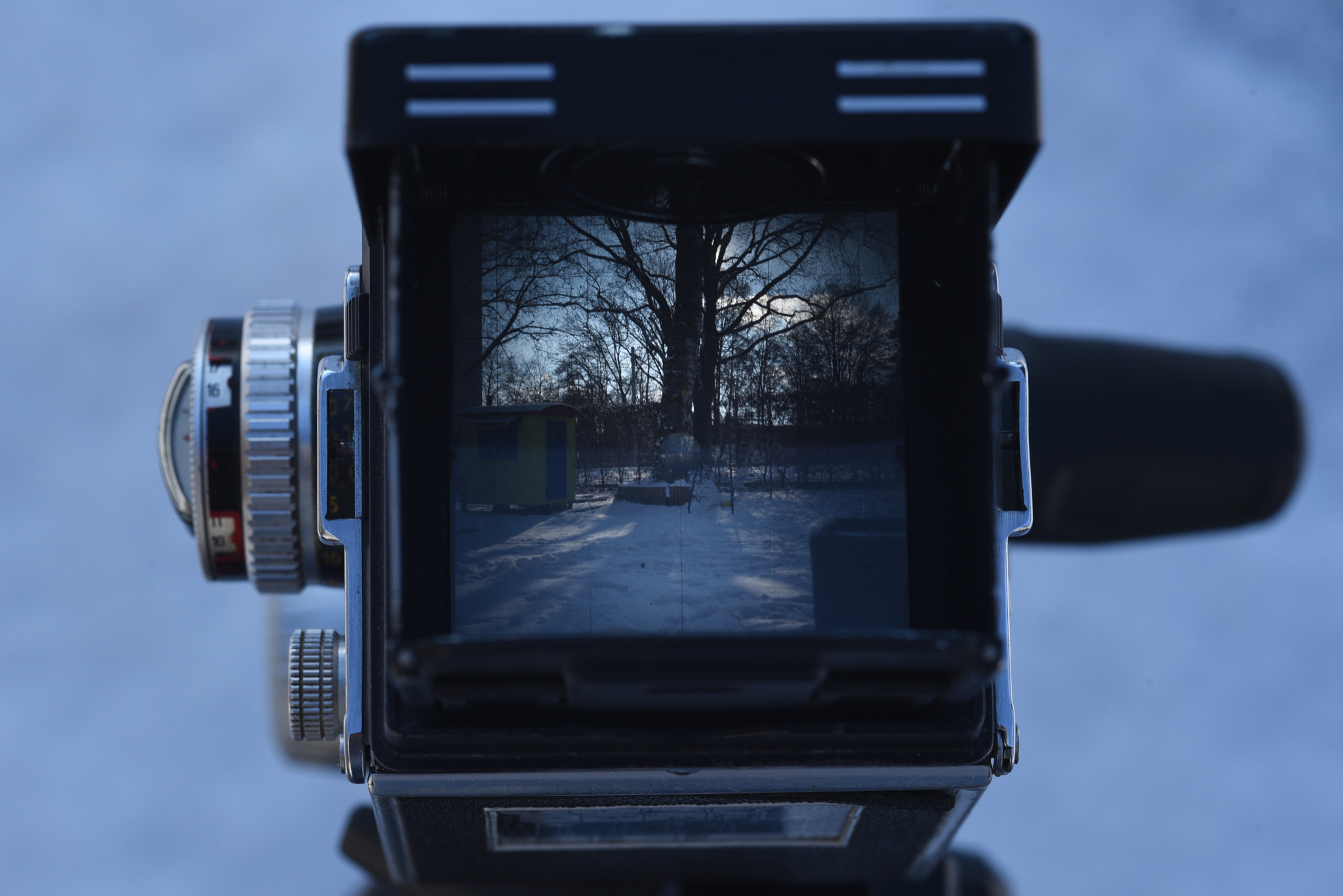 Nikon D750 + Sigma 105mm F2.8 EX DG Macro sample photo. Rolleiflex view. photography