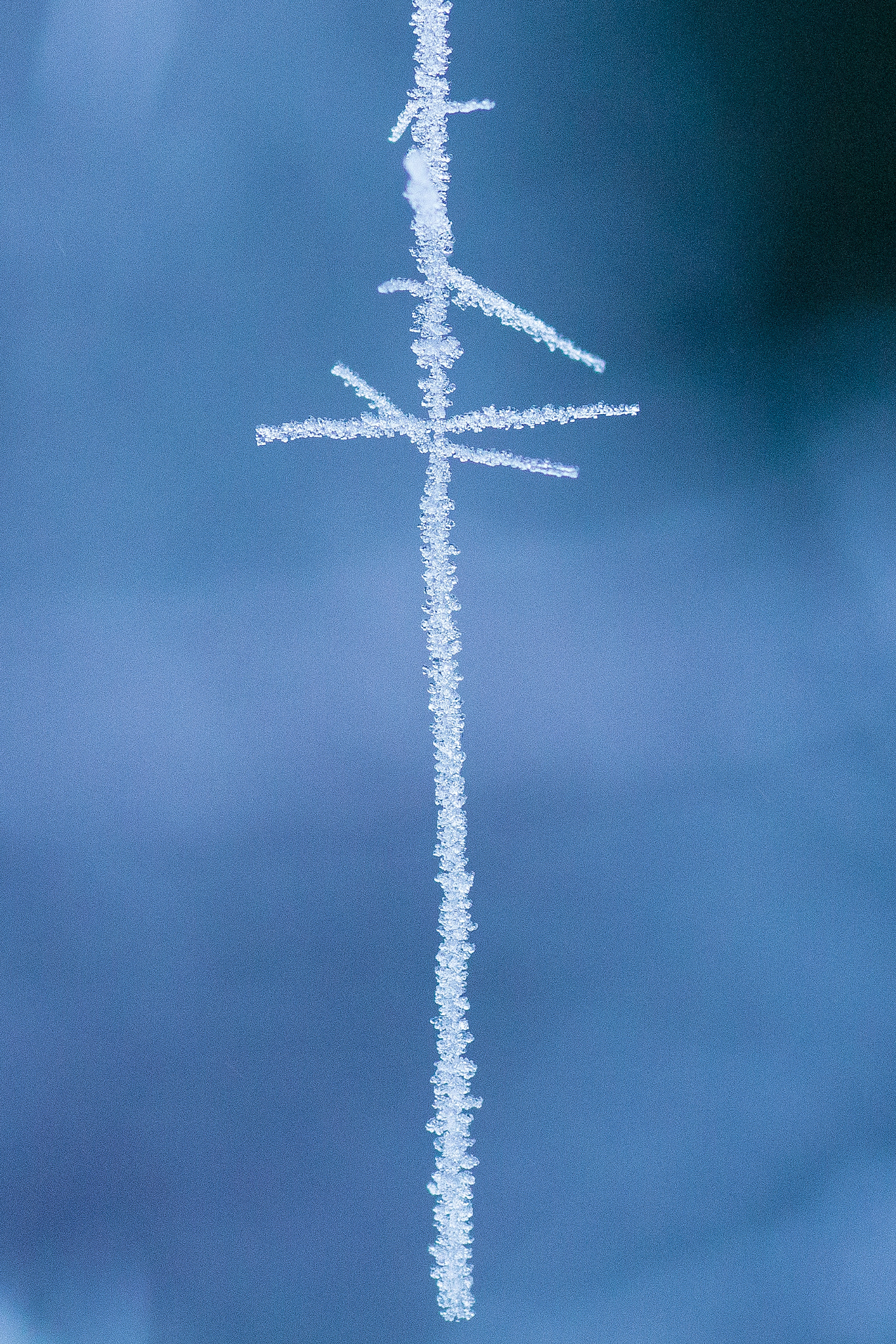 Canon EOS 700D (EOS Rebel T5i / EOS Kiss X7i) + Tamron SP AF 90mm F2.8 Di Macro sample photo. Fil de glace photography