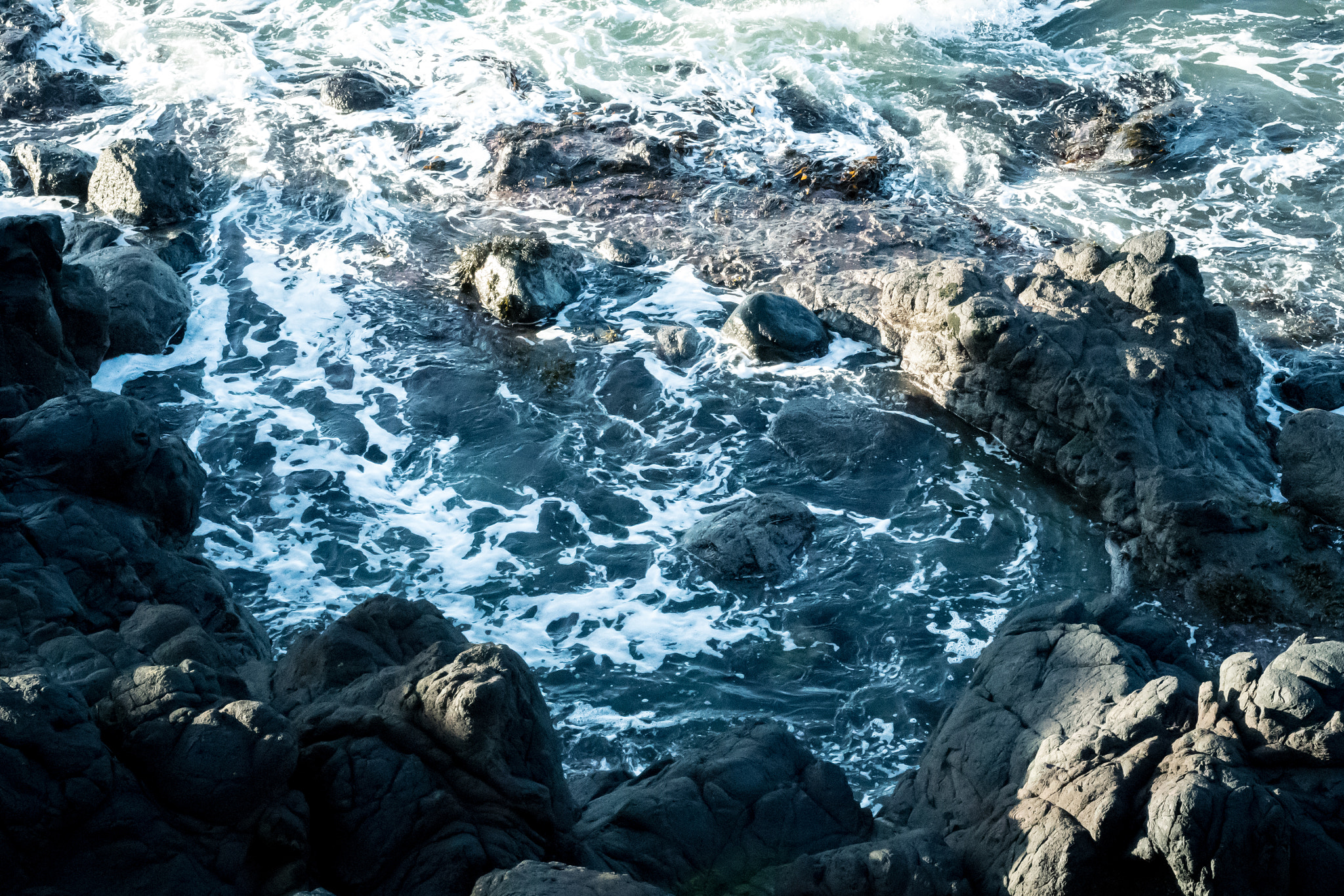 Nikon D500 + Nikon AF-S Nikkor 50mm F1.8G sample photo. Exploring giants causeway  photography