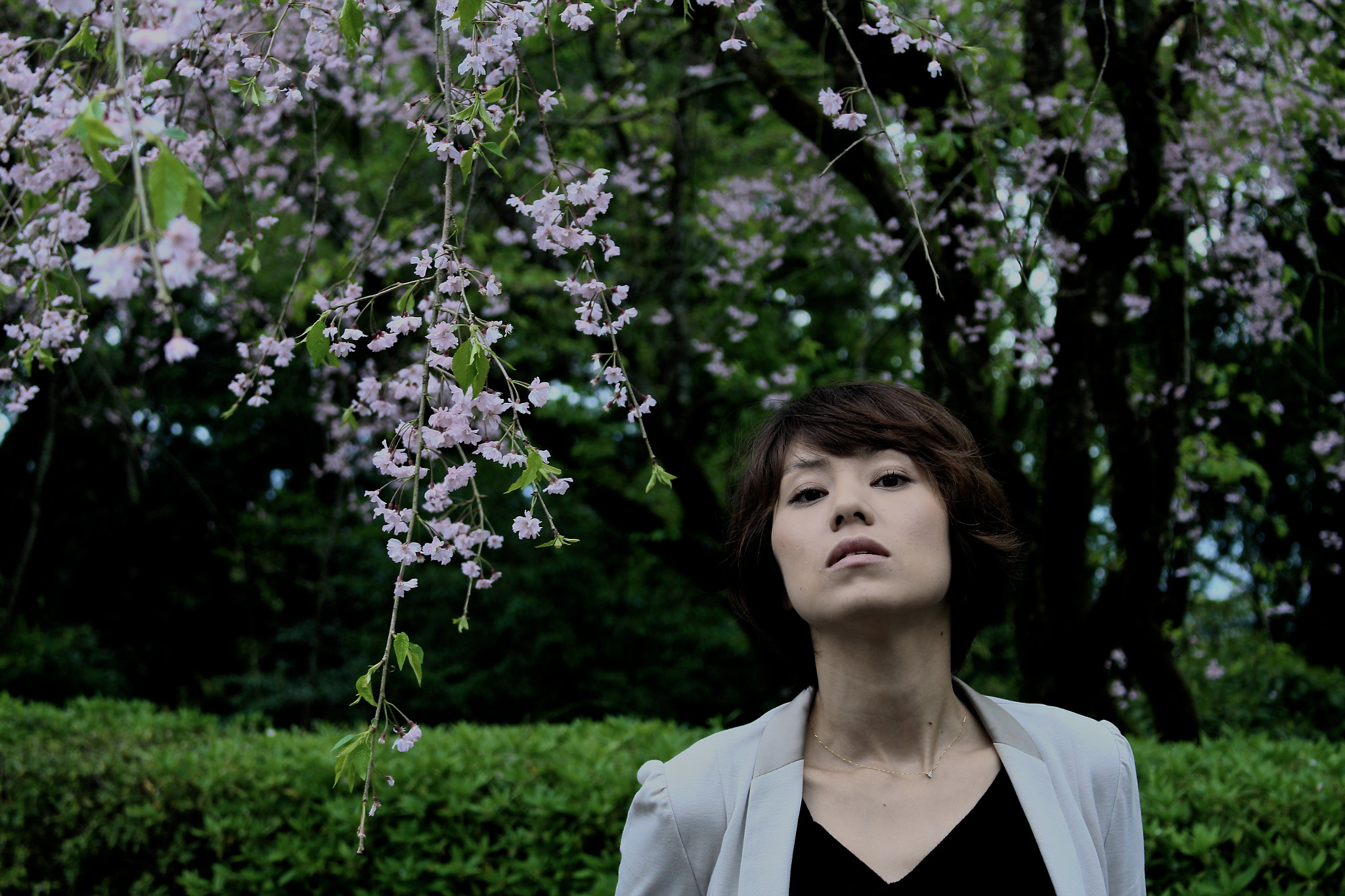 Canon EOS 700D (EOS Rebel T5i / EOS Kiss X7i) sample photo. Haruka / 116 桜 photography