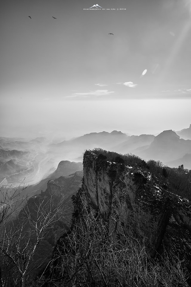Sony a7R II + DT 16-35mm F4 SAM sample photo. Dsc photography