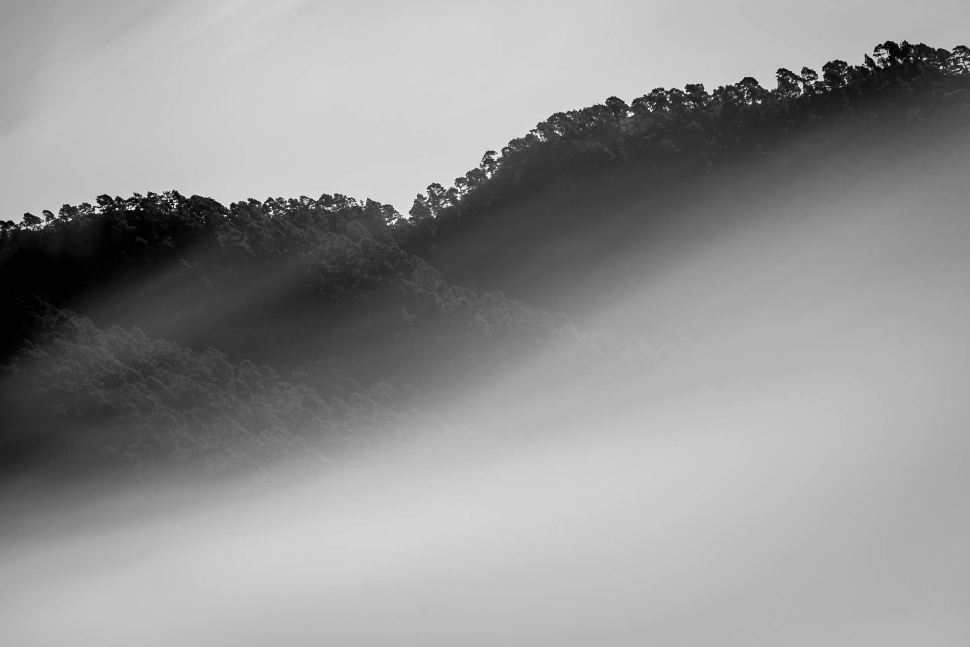 Canon EF 70-200mm F2.8L USM sample photo. Sombras photography
