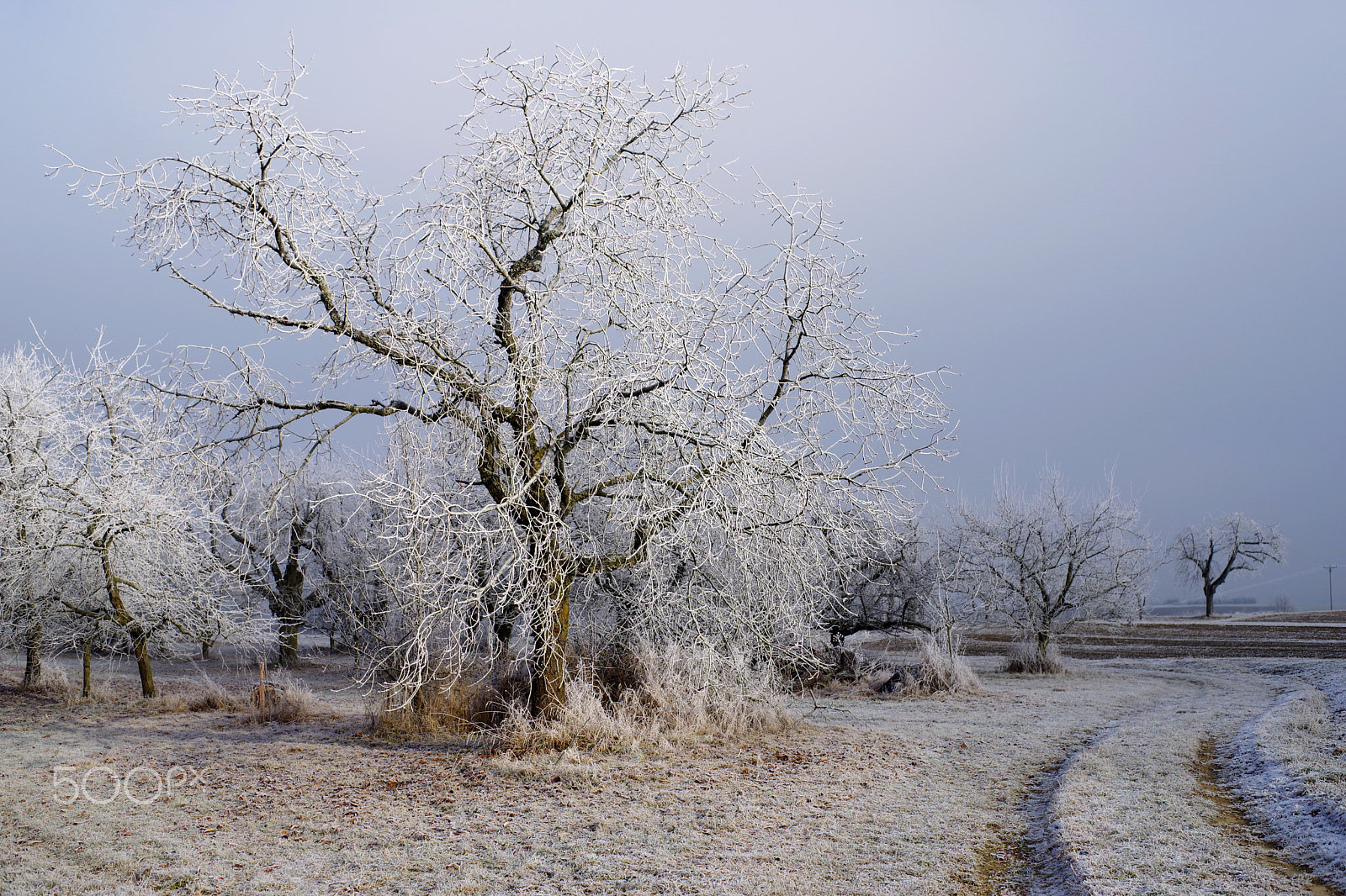 Pentax K-1 sample photo. Winter season in kalchreuth photography