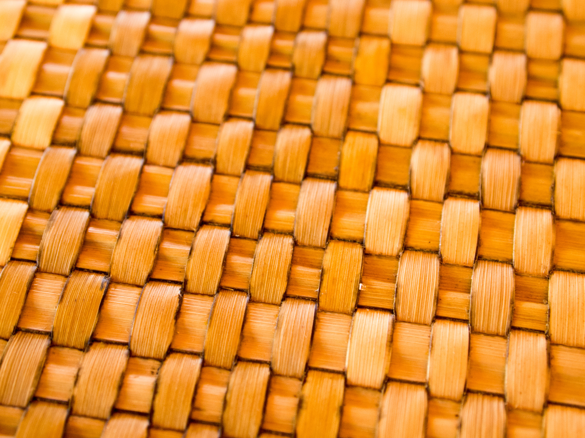 Olympus PEN E-PL1 sample photo. Morning lounge placemat photography