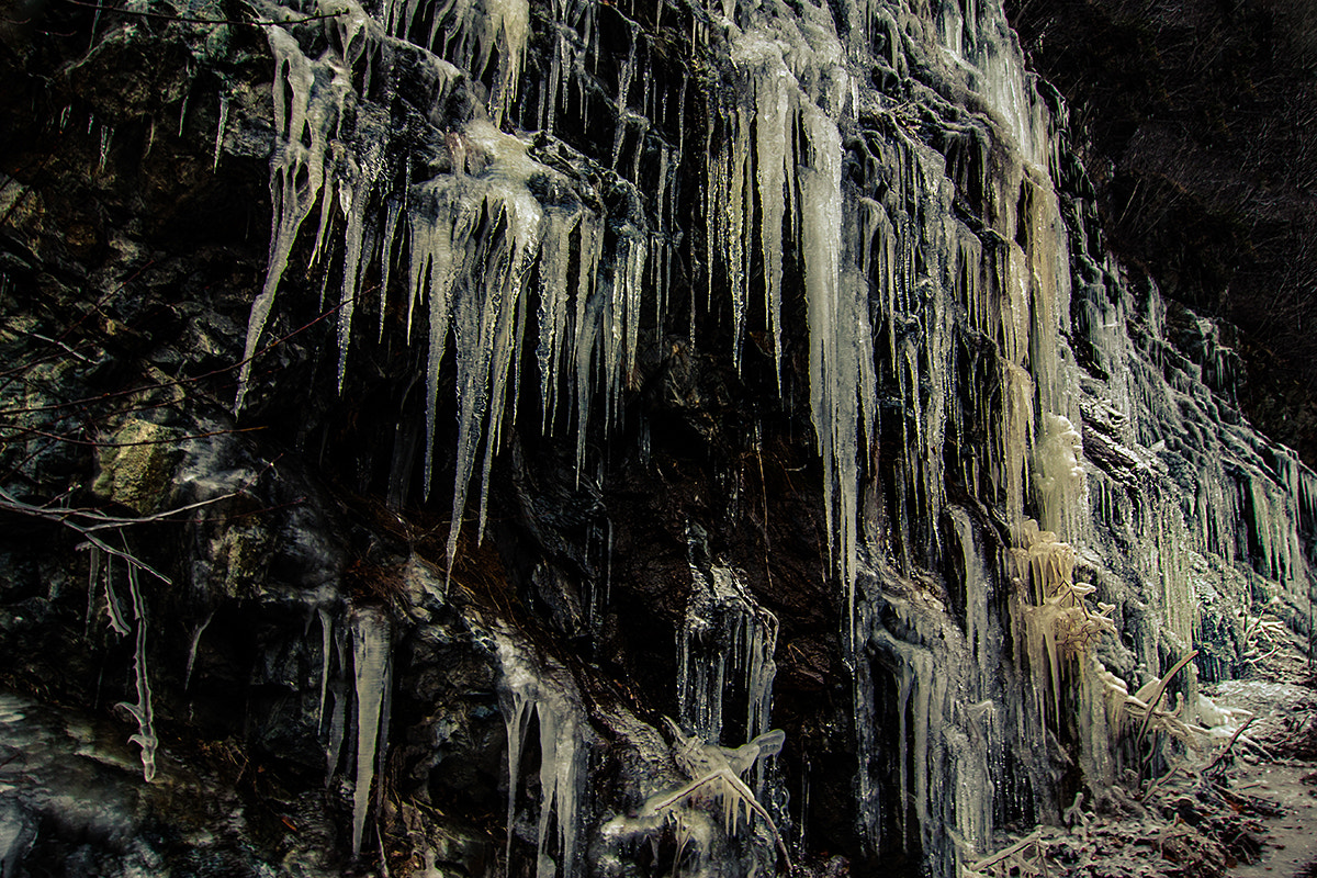 Tokina AT-X Pro 12-24mm F4 (IF) DX sample photo. Frost photography