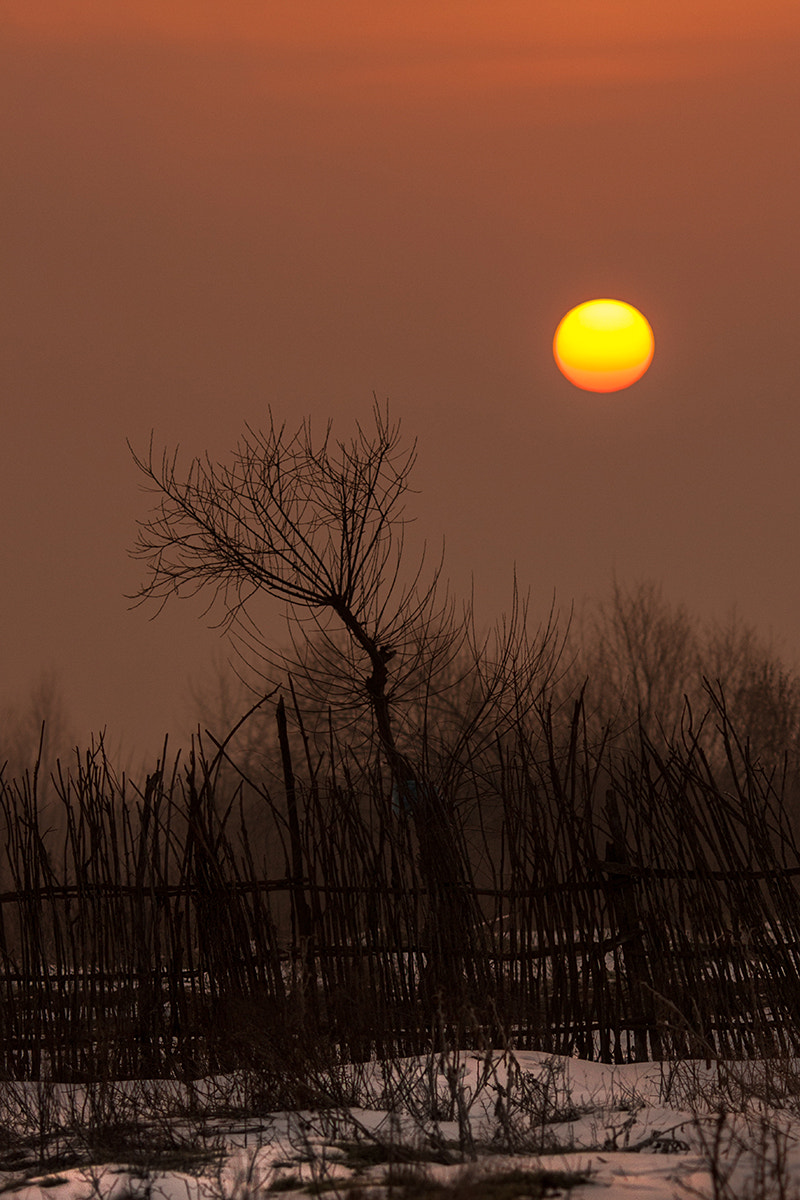 Canon EOS 40D + Canon EF 135mm F2L USM sample photo. Fire photography