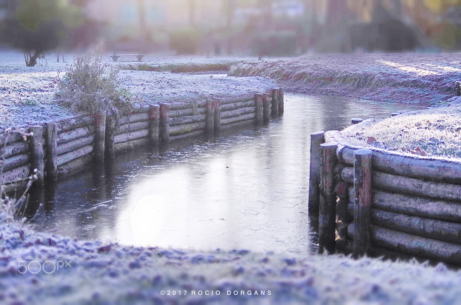 smc PENTAX-DA L 50-200mm F4-5.6 ED sample photo. Igp photography