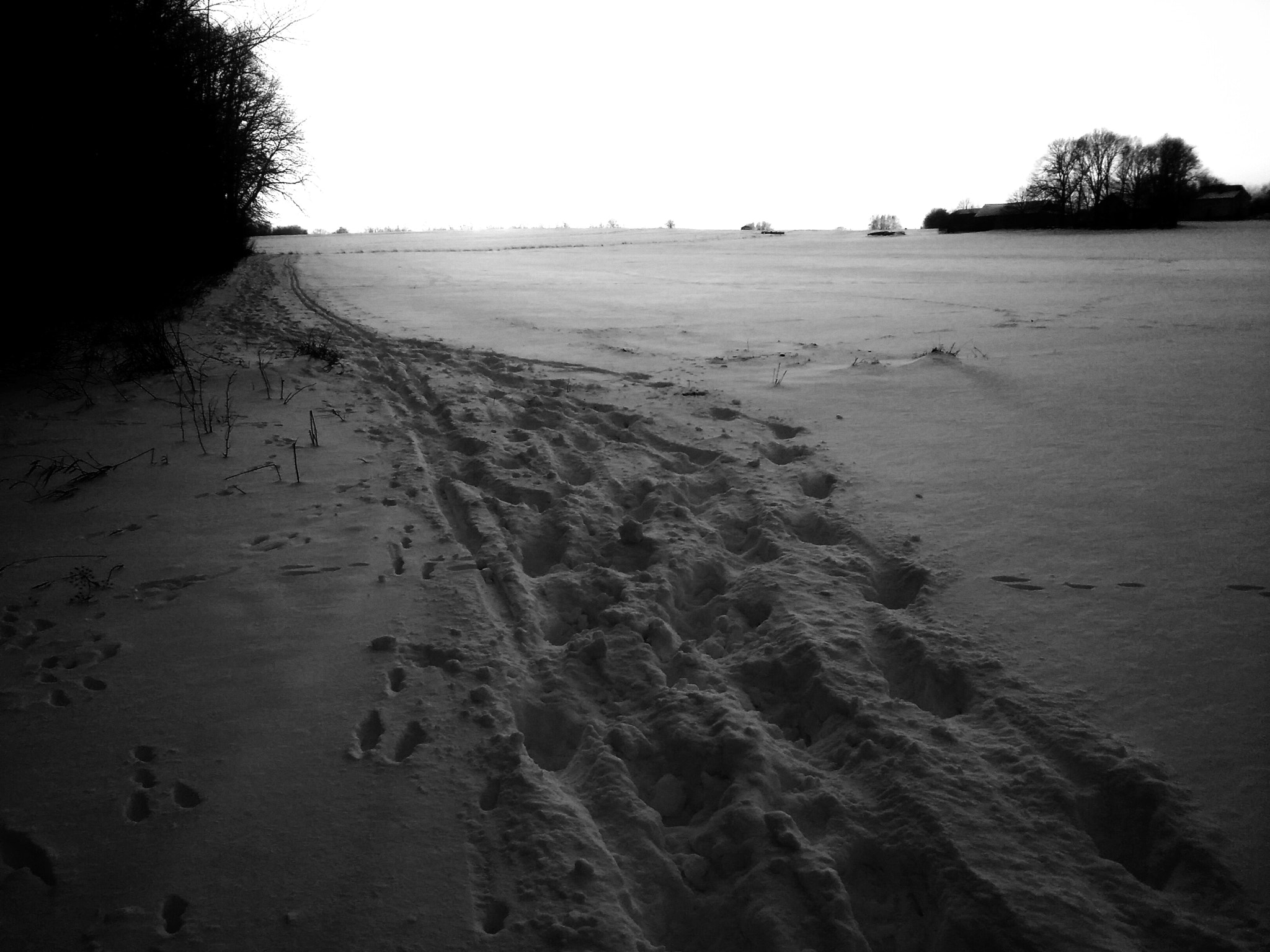 LG SPIRIT 4G LTE sample photo. Amazing snow  photography