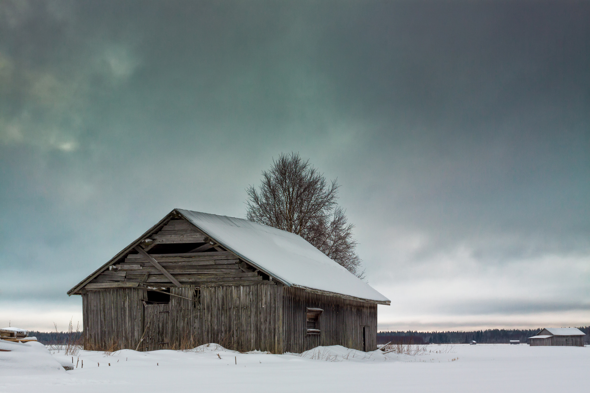 Canon EOS 50D + Canon EF 40mm F2.8 STM sample photo. Barn and birch tree on a cold winter day photography