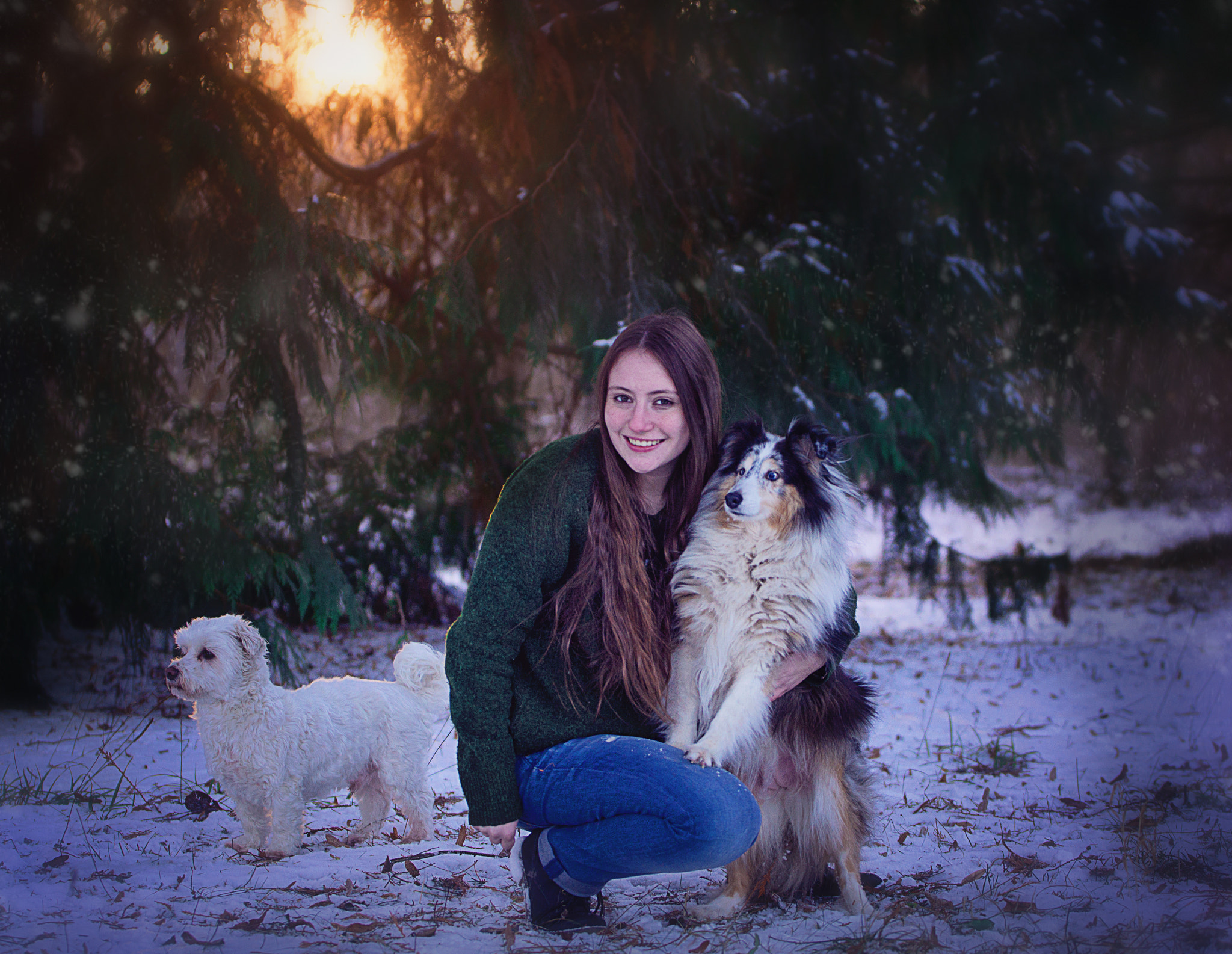 Sony SLT-A77 sample photo. Girl with dogs in wintersunset photography