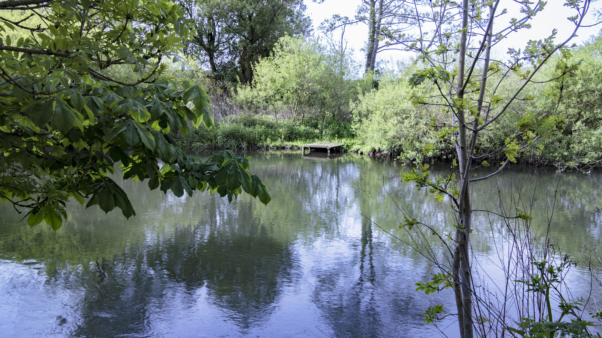 Canon EOS 750D (EOS Rebel T6i / EOS Kiss X8i) sample photo. The jetty photography