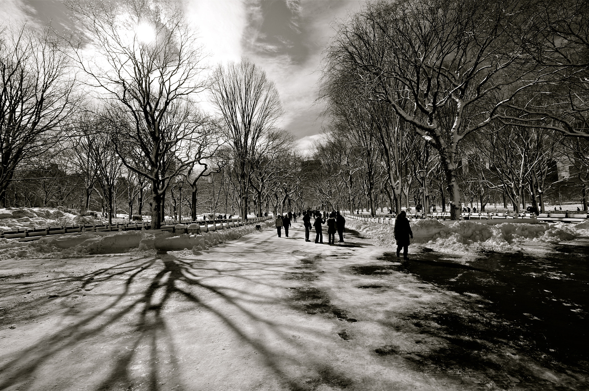 Sony Alpha NEX-C3 sample photo. The mall / central park photography