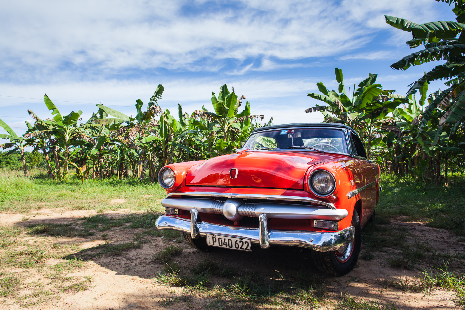 Canon EF 24mm F1.4L II USM sample photo. Red beauty photography