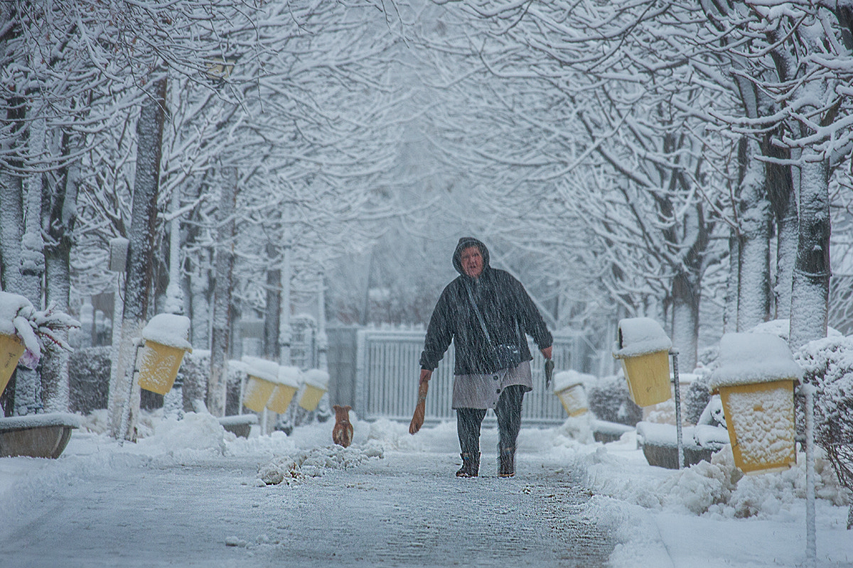 Canon EF-S 55-250mm F4-5.6 IS STM sample photo. Morning snow photography