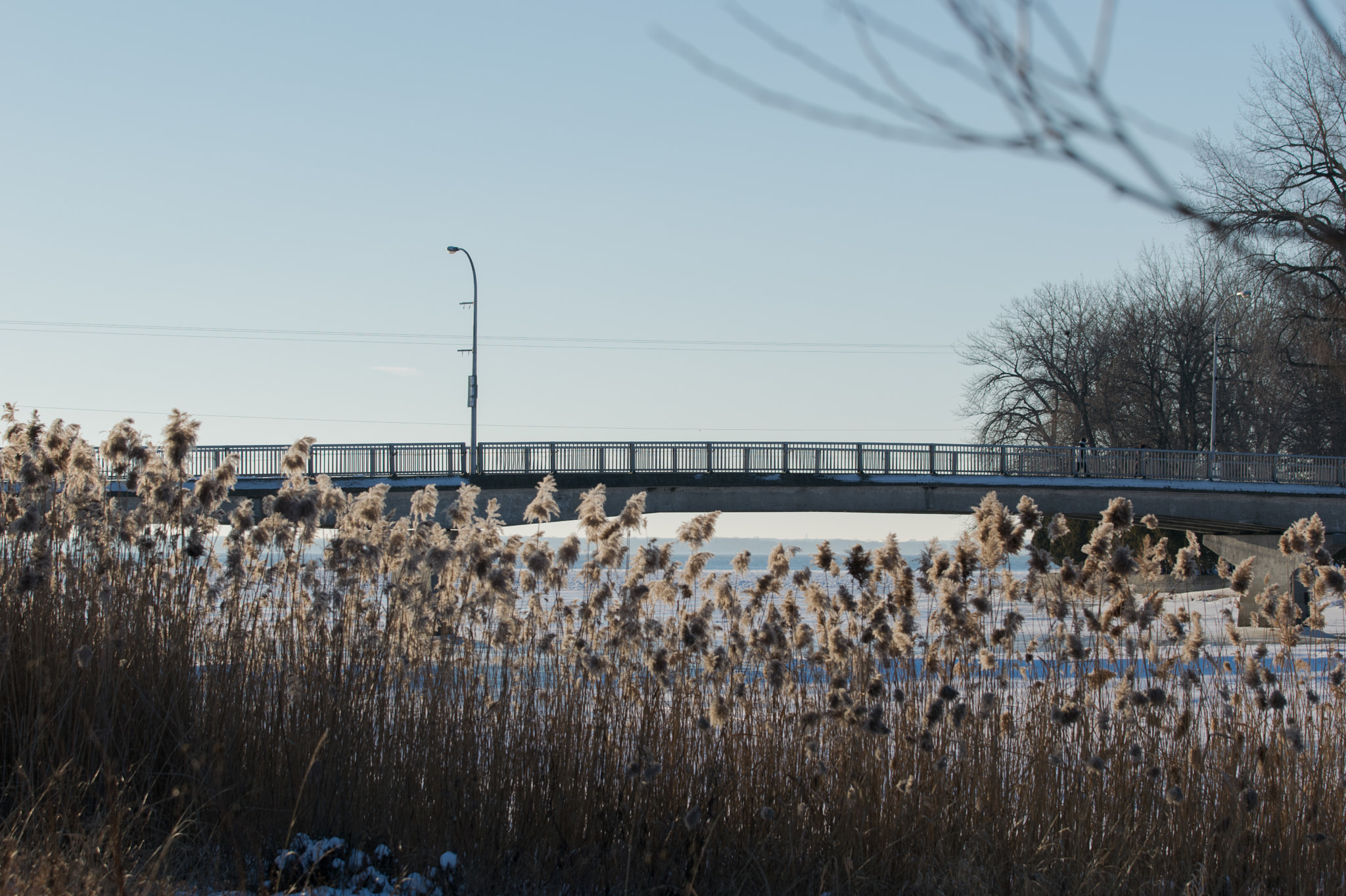 Nikon AF-S Nikkor 70-200mm F2.8G ED VR II sample photo. Winternature002 photography
