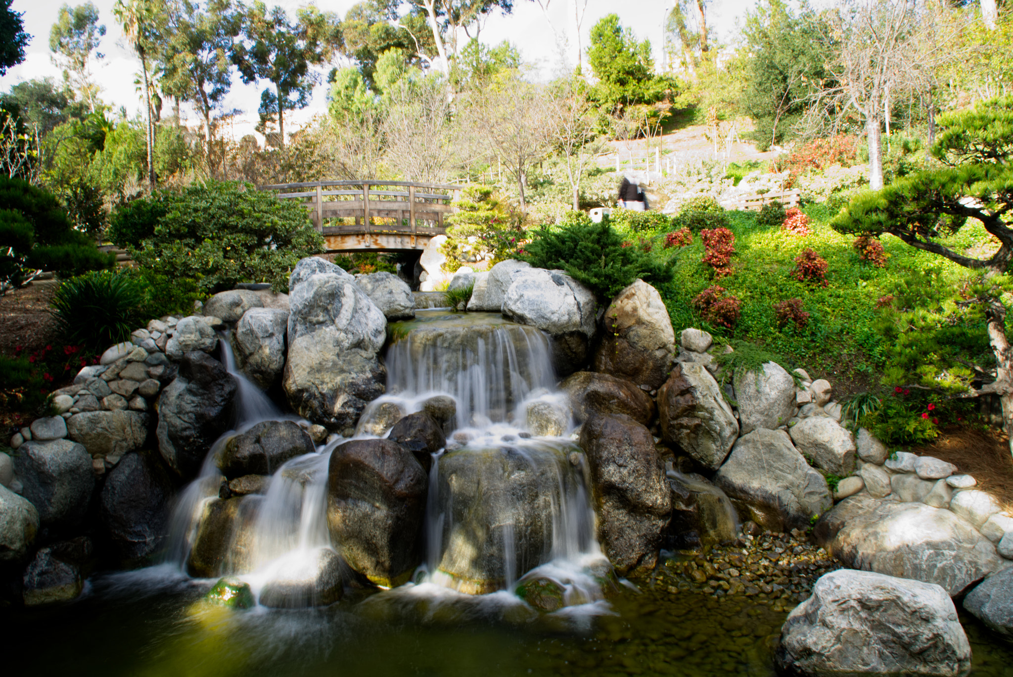Sony DT 18-200mm F3.5-6.3 sample photo. Japanese friendship garden photography