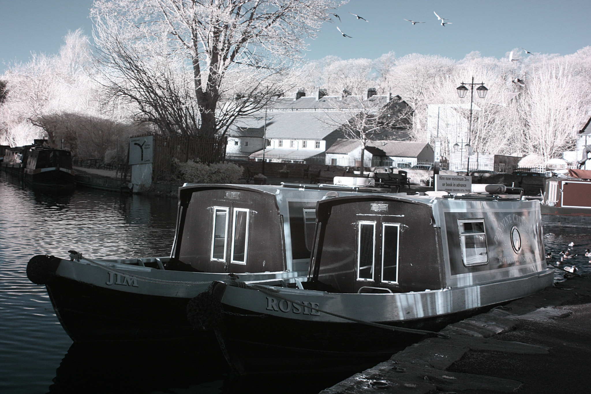 Canon EF 35-80mm f/4-5.6 sample photo. Rosie&jim photography
