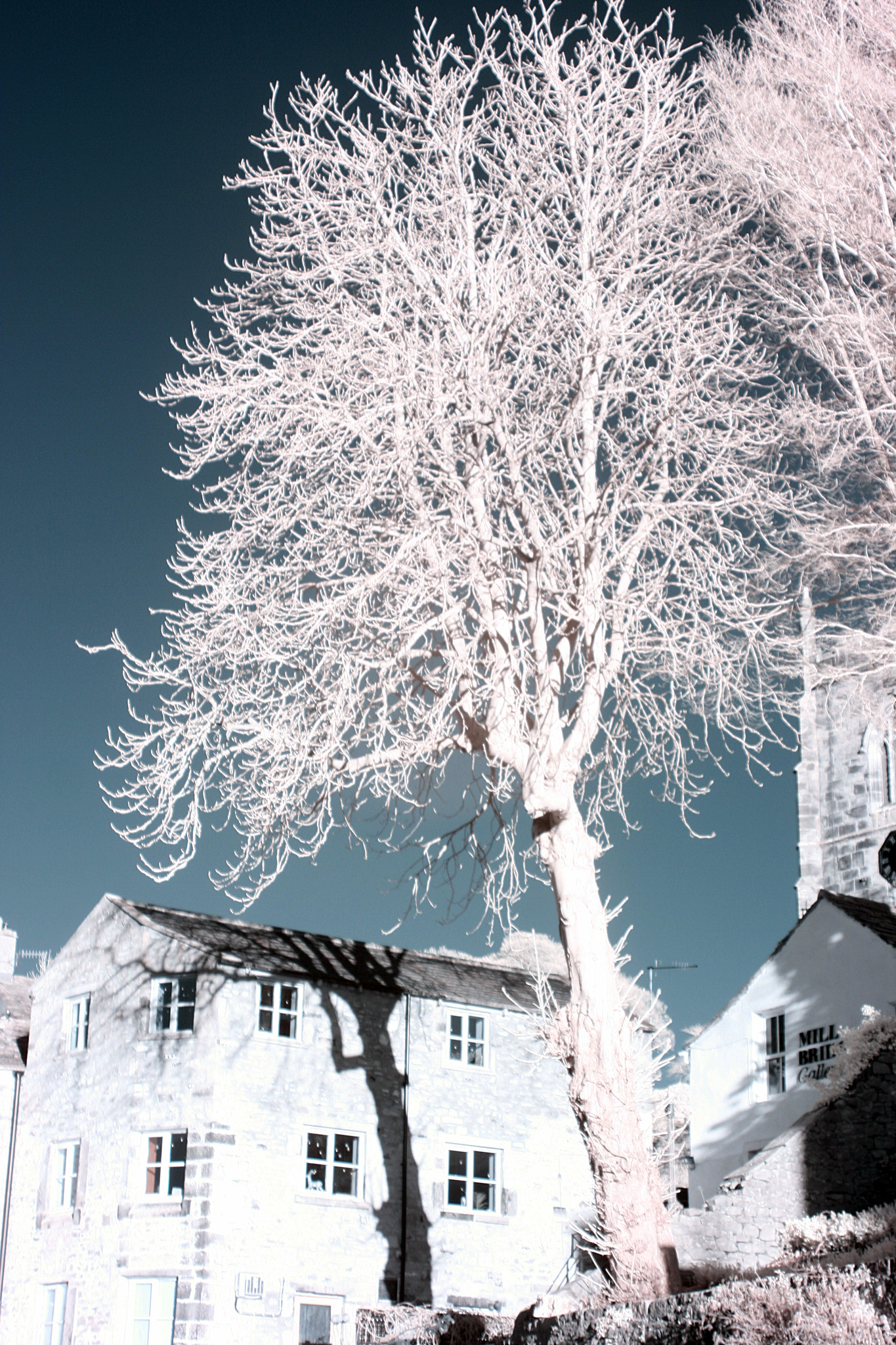 Canon EF 35-80mm f/4-5.6 sample photo. Tree over canal photography
