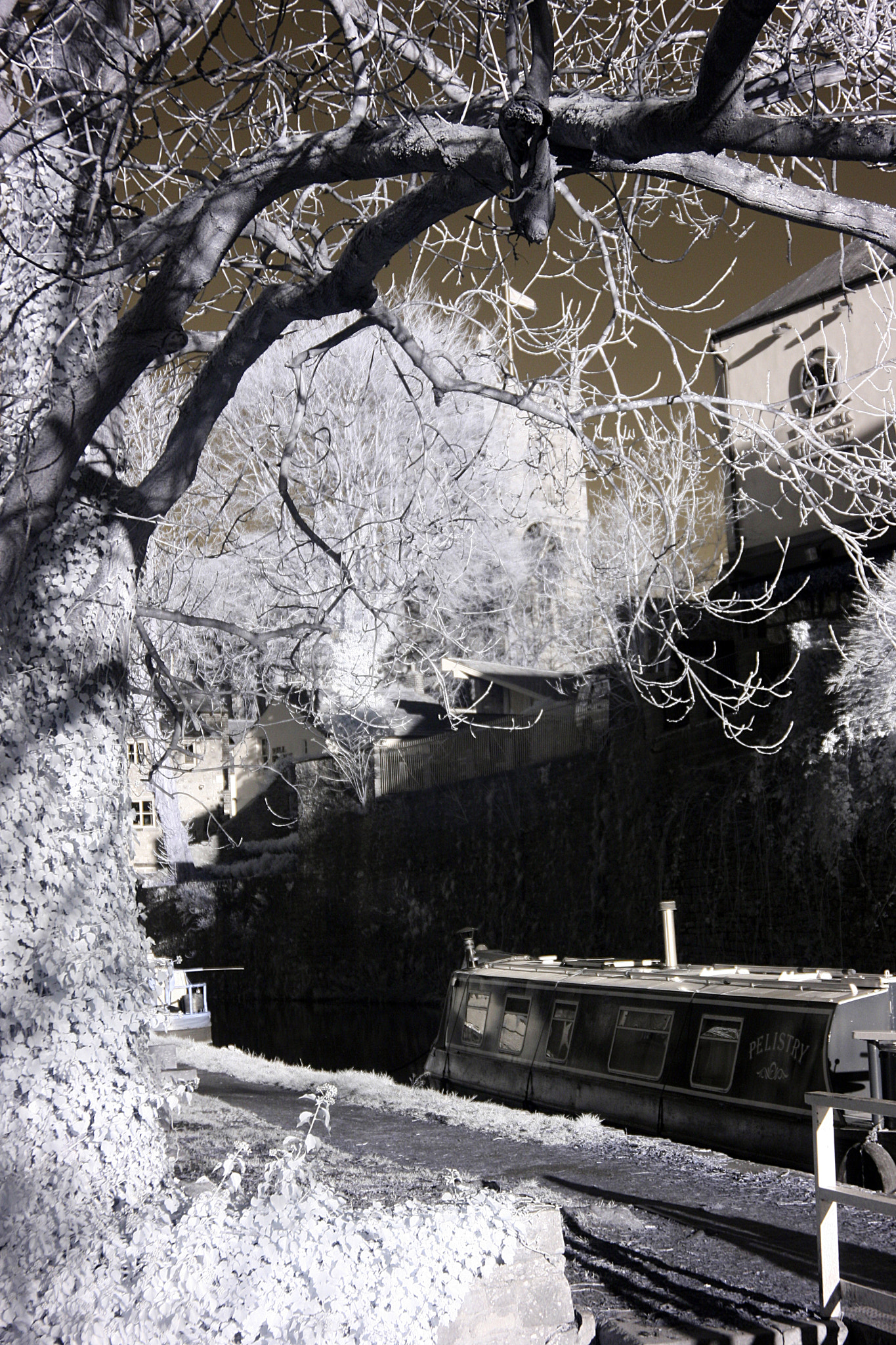 Canon EF 35-80mm f/4-5.6 sample photo. Boat under tree photography