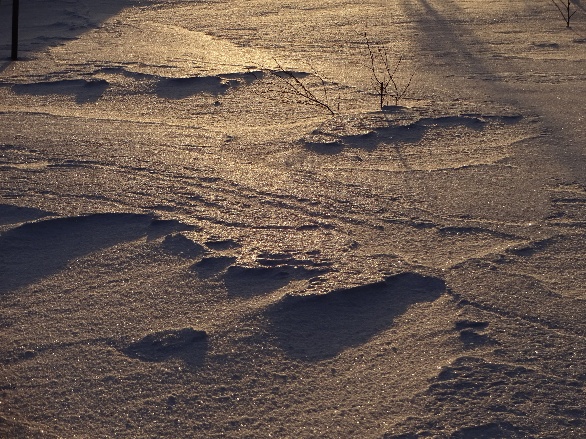 Sony Cyber-shot DSC-WX220 sample photo. Snow and sunset photography