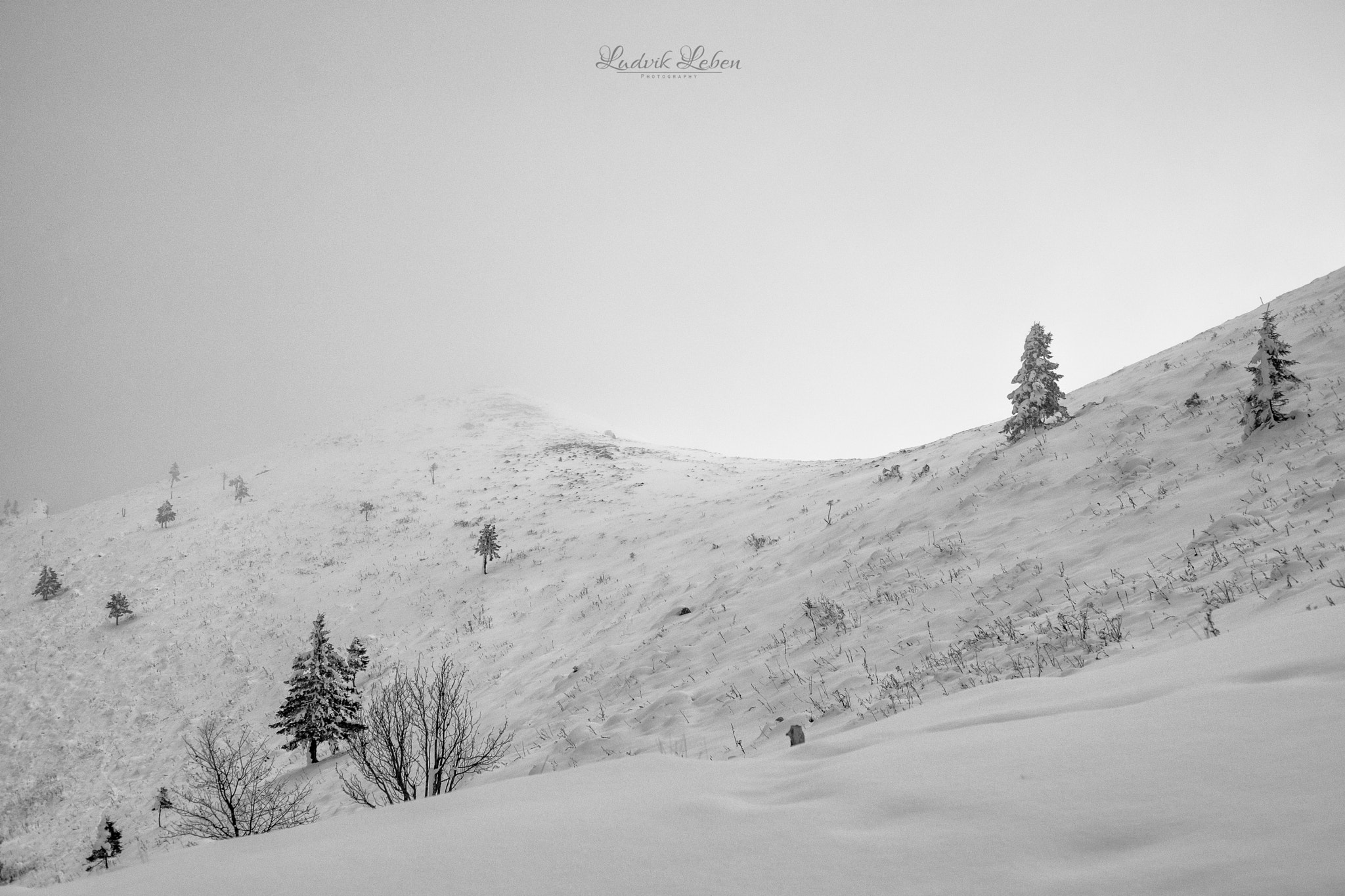 Sony a7 II + Sony 50mm F1.4 sample photo. Winter walkers photography