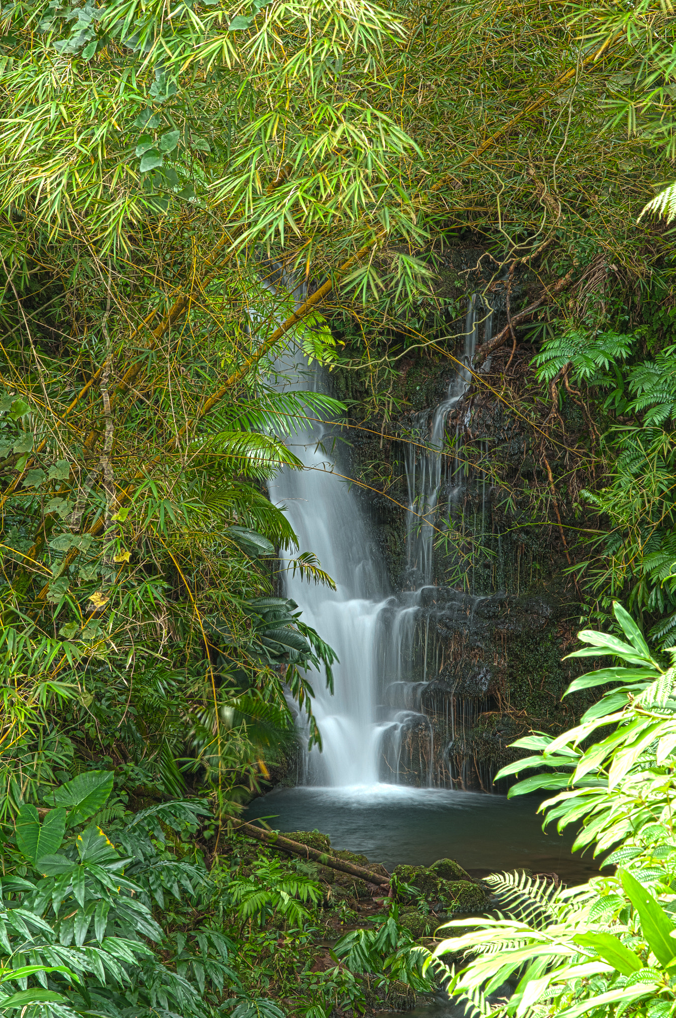 Nikon D300S + Sigma 17-70mm F2.8-4 DC Macro OS HSM sample photo. Akaka falls photography