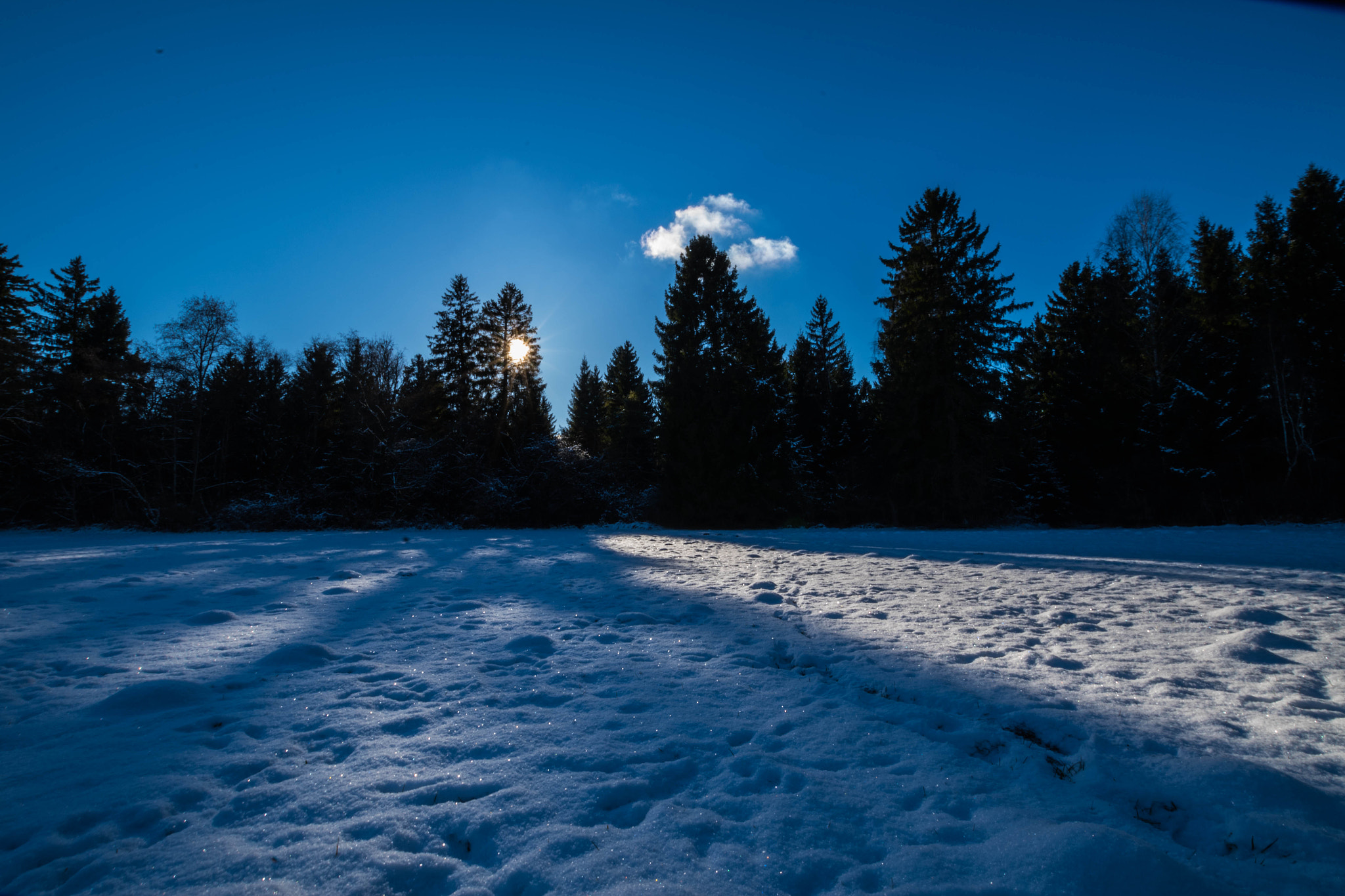 Pentax K-S1 sample photo. Snow & light photography